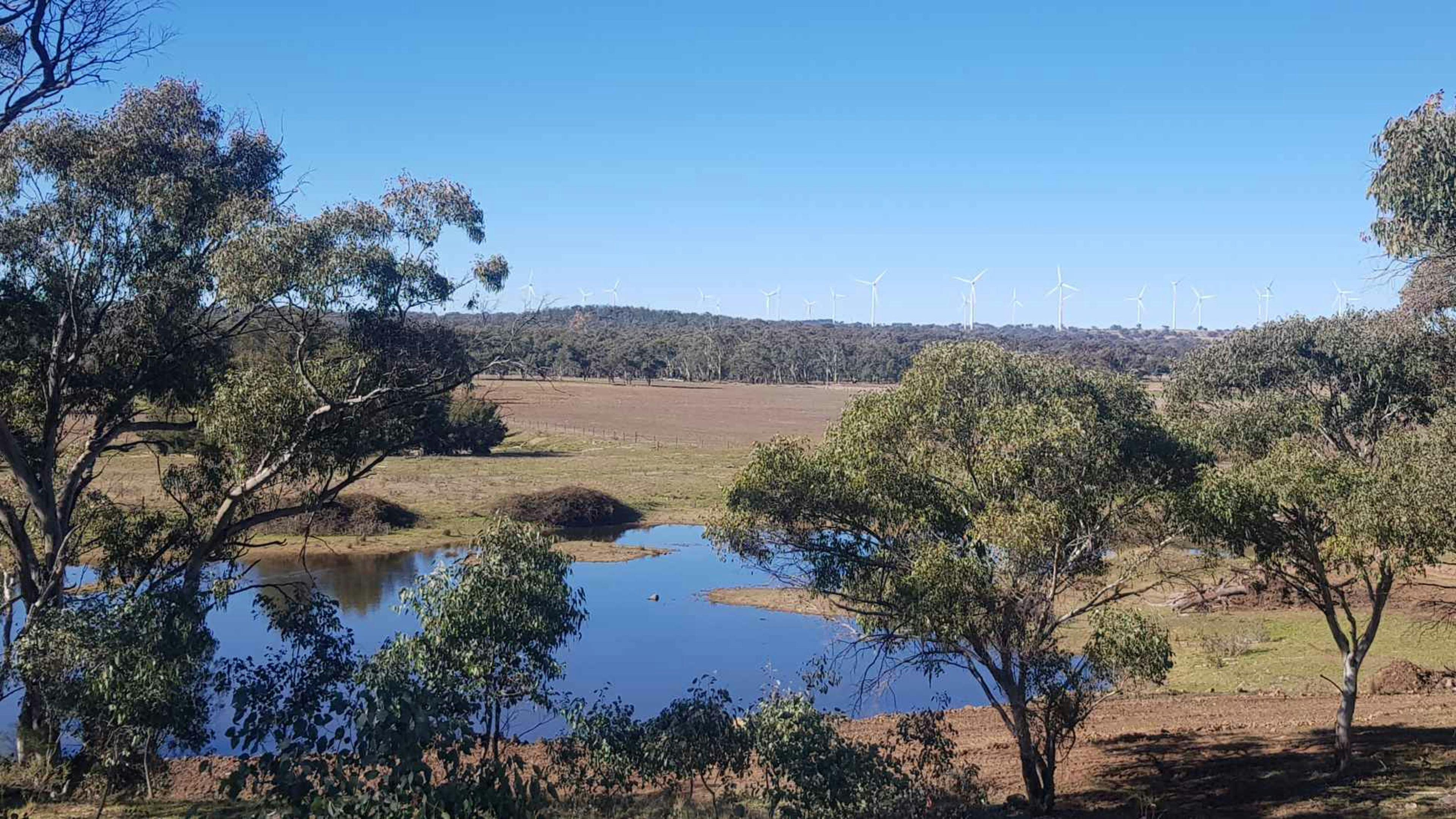 Billabong Blue Fossicking Park
