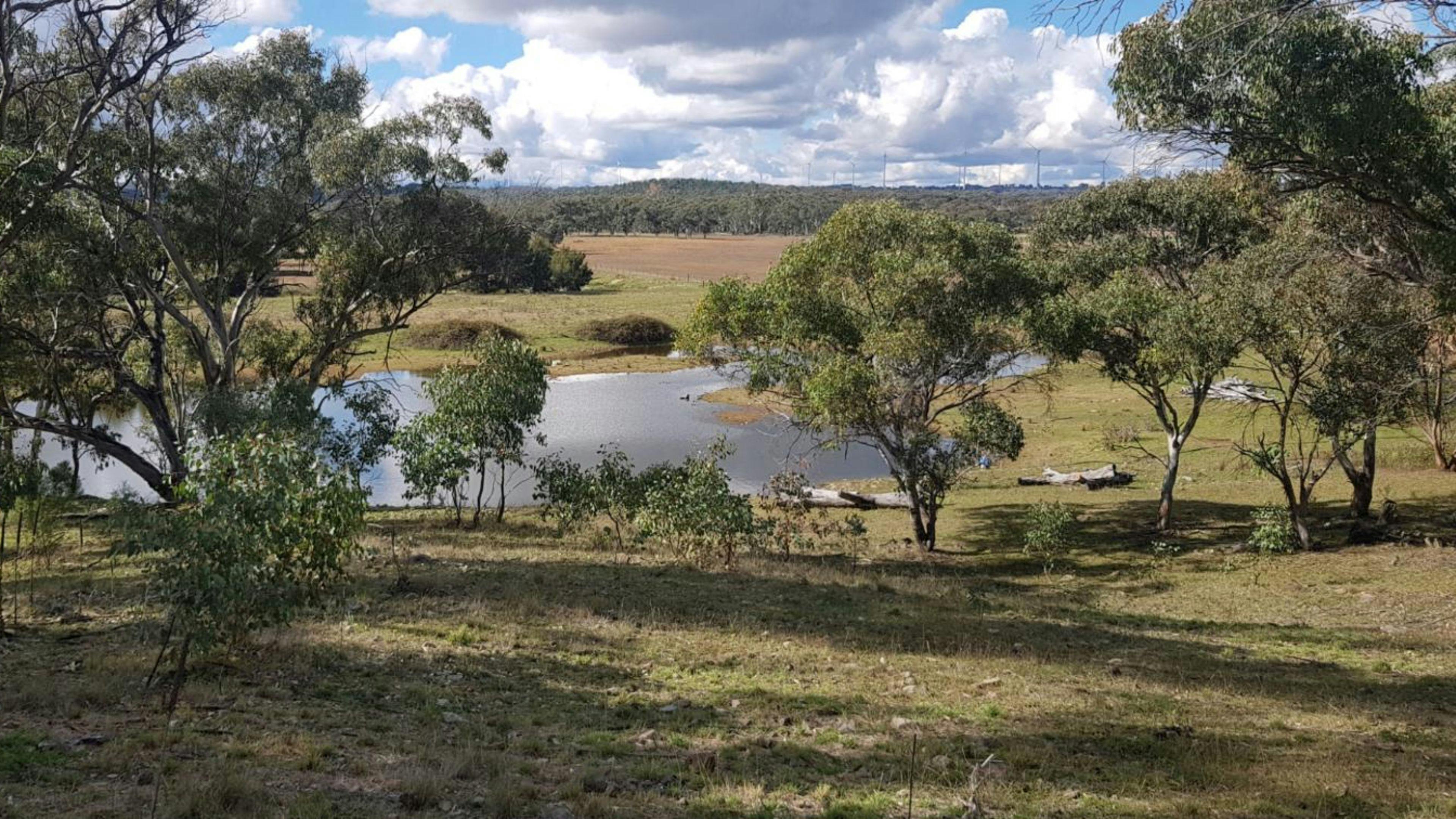 Billabong Blue Fossicking Park