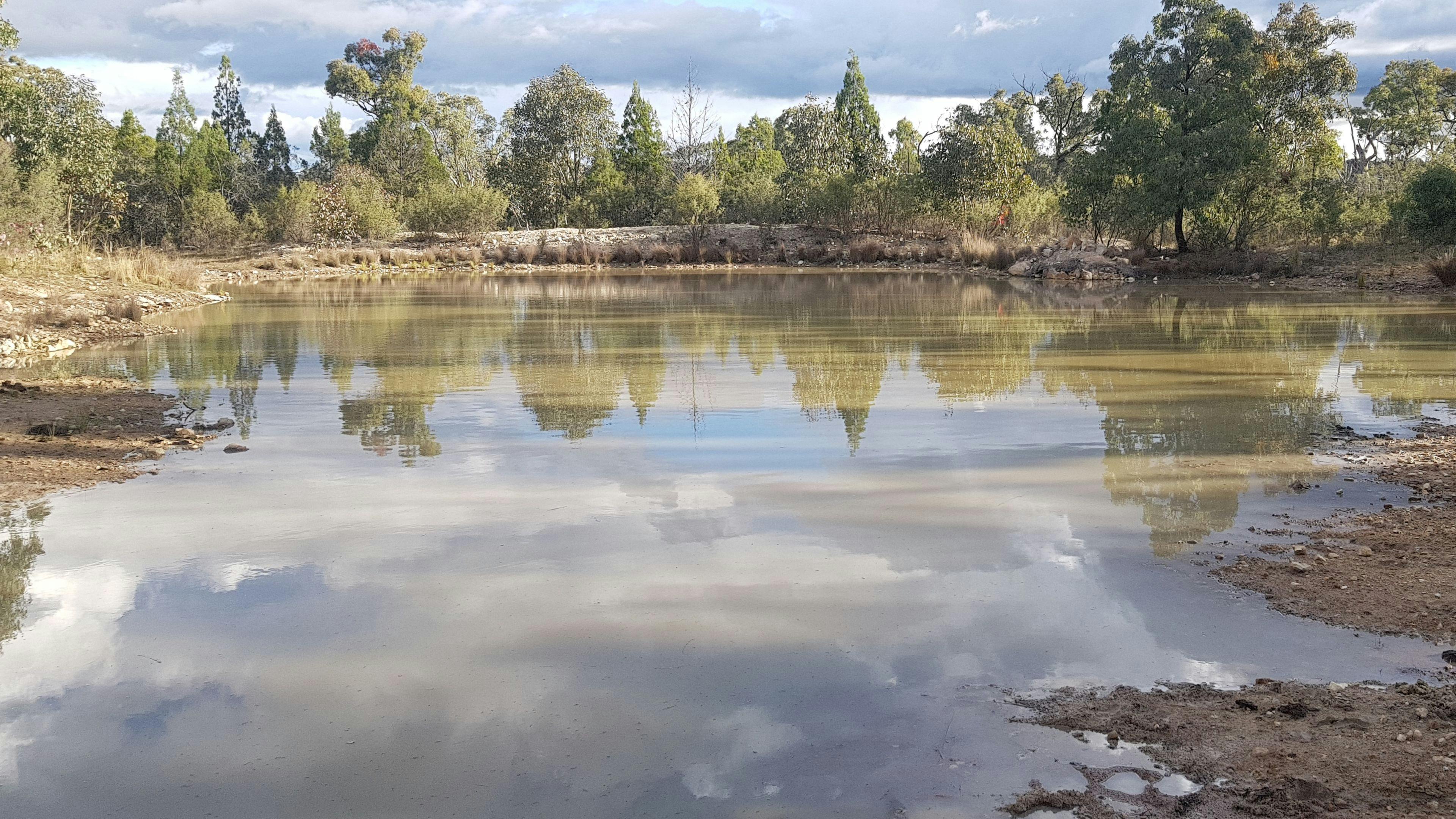Billabong Blue Fossicking Park