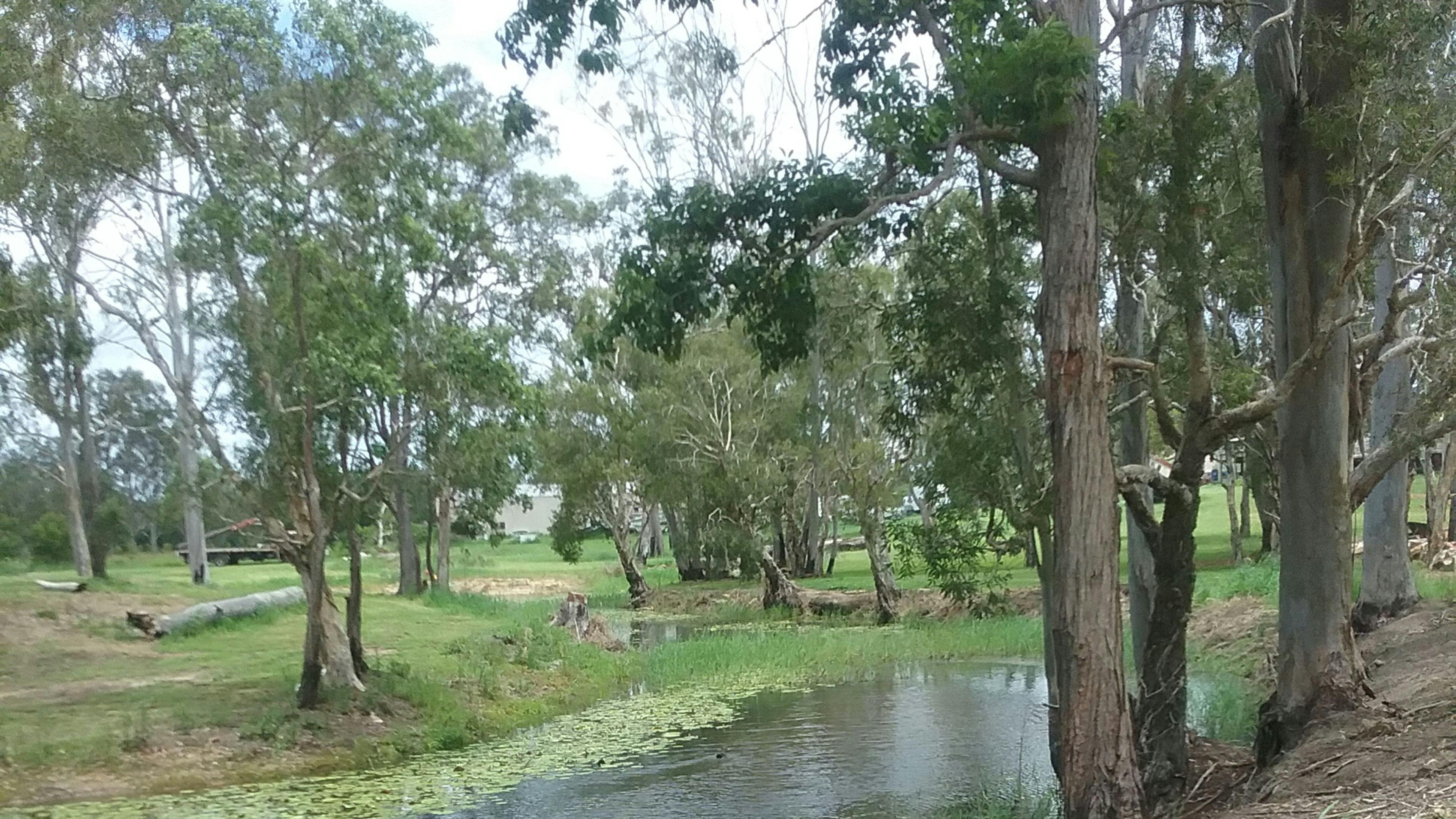 Billabong Breeze Hipcamp