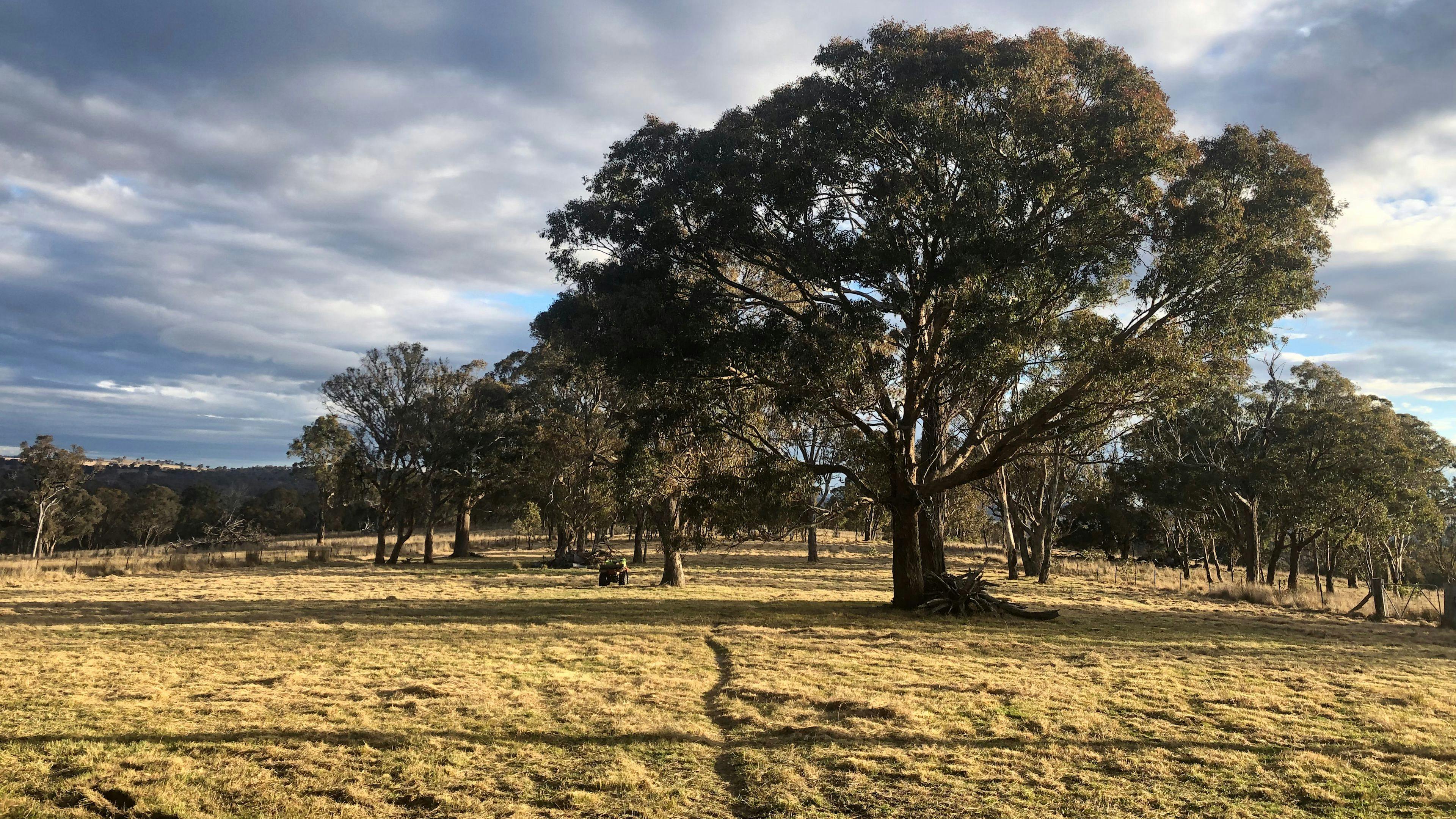 빔비발레 캐러밴 및 캠프장