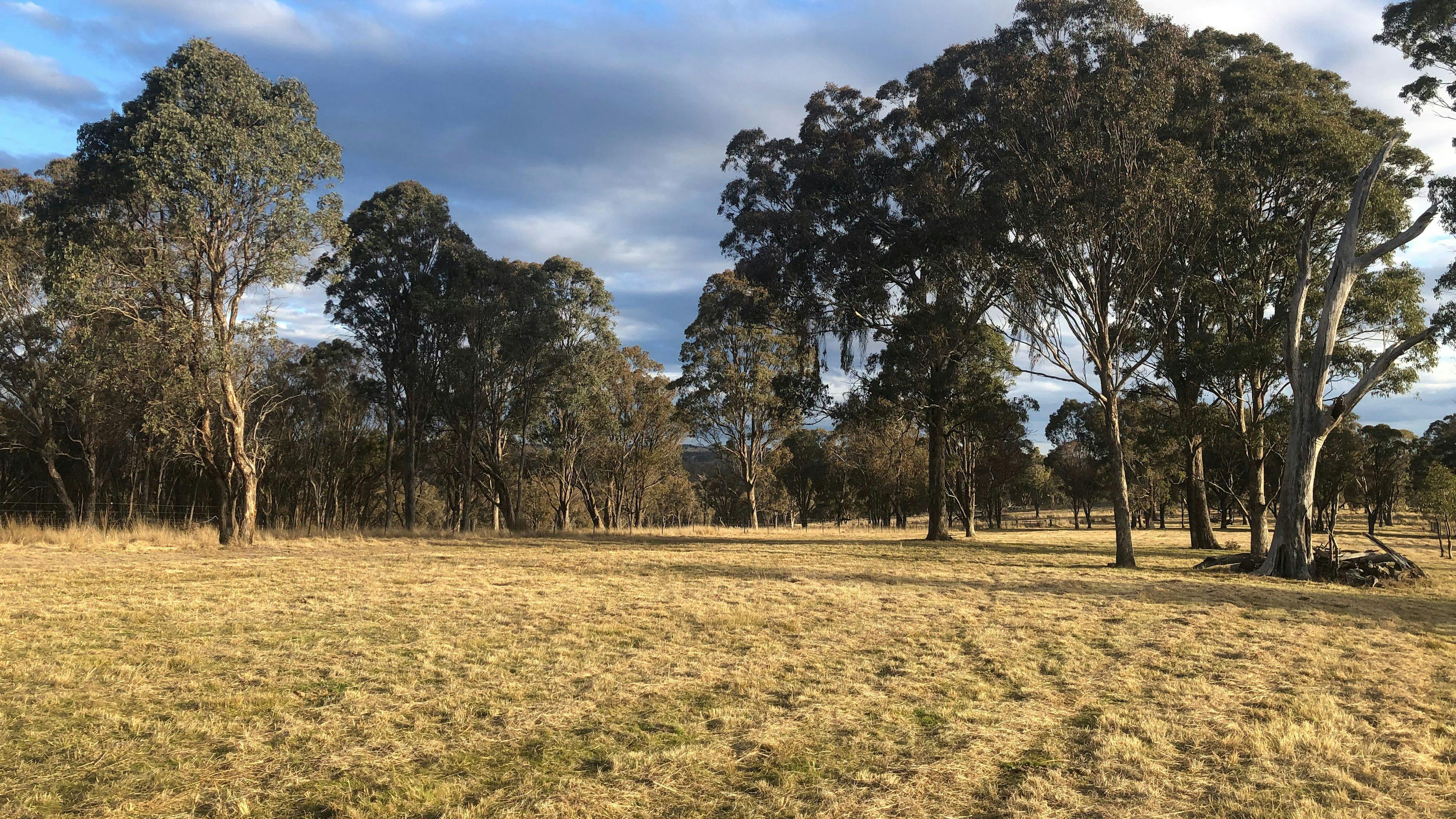 Bimbivale Caravan & Camp Sites