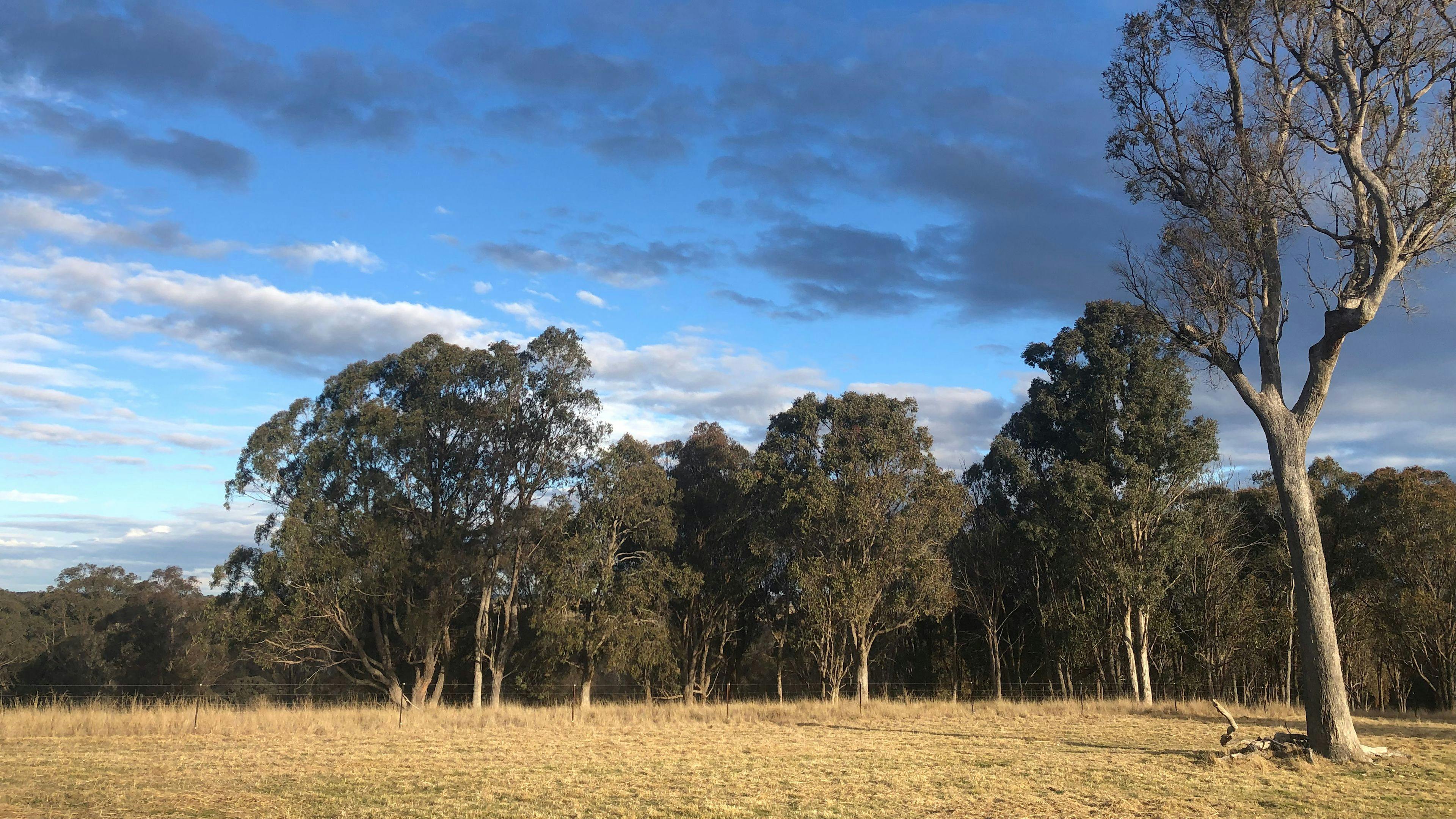 빔비발레 캐러밴 및 캠프장