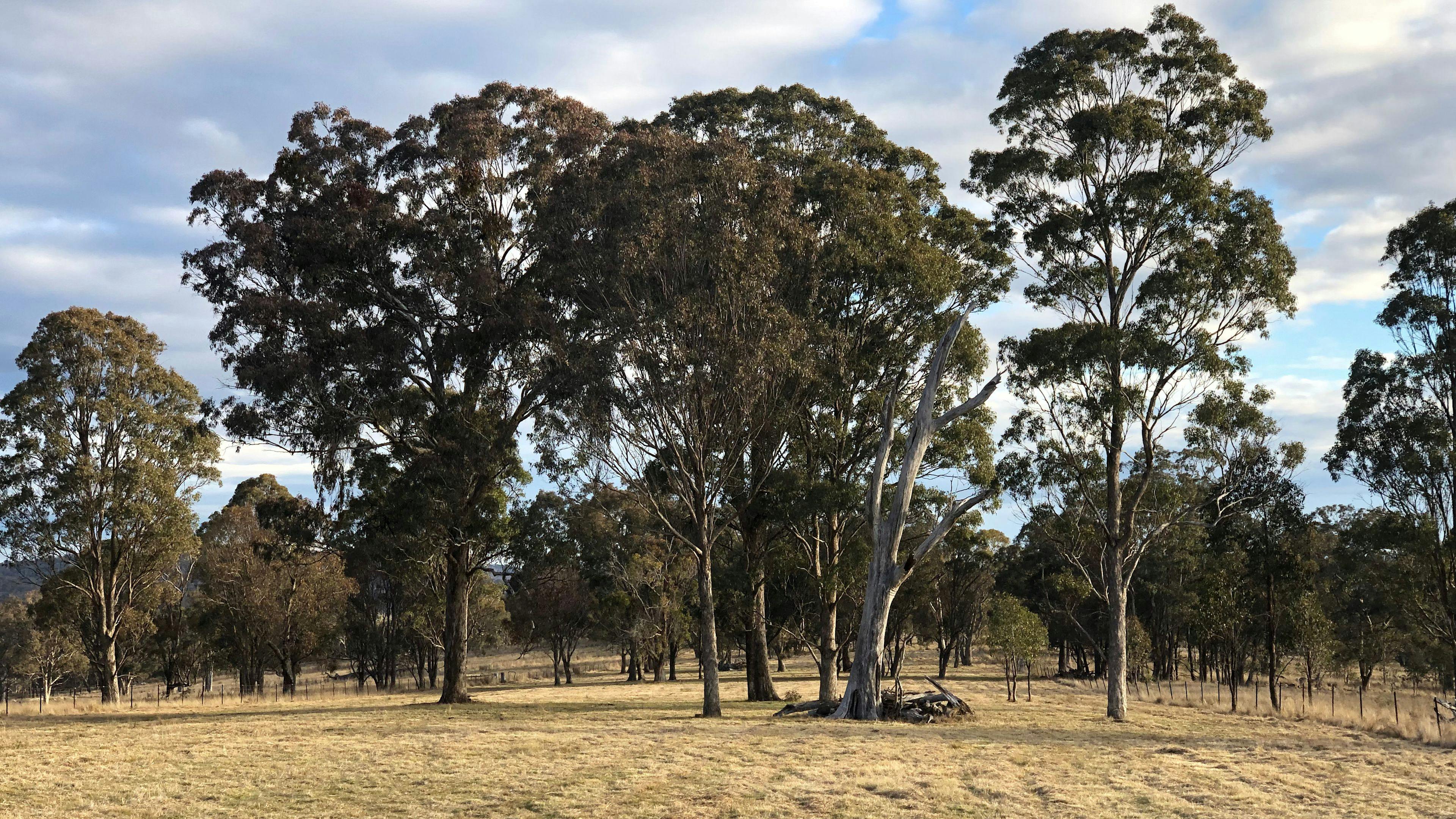 빔비발레 캐러밴 및 캠프장