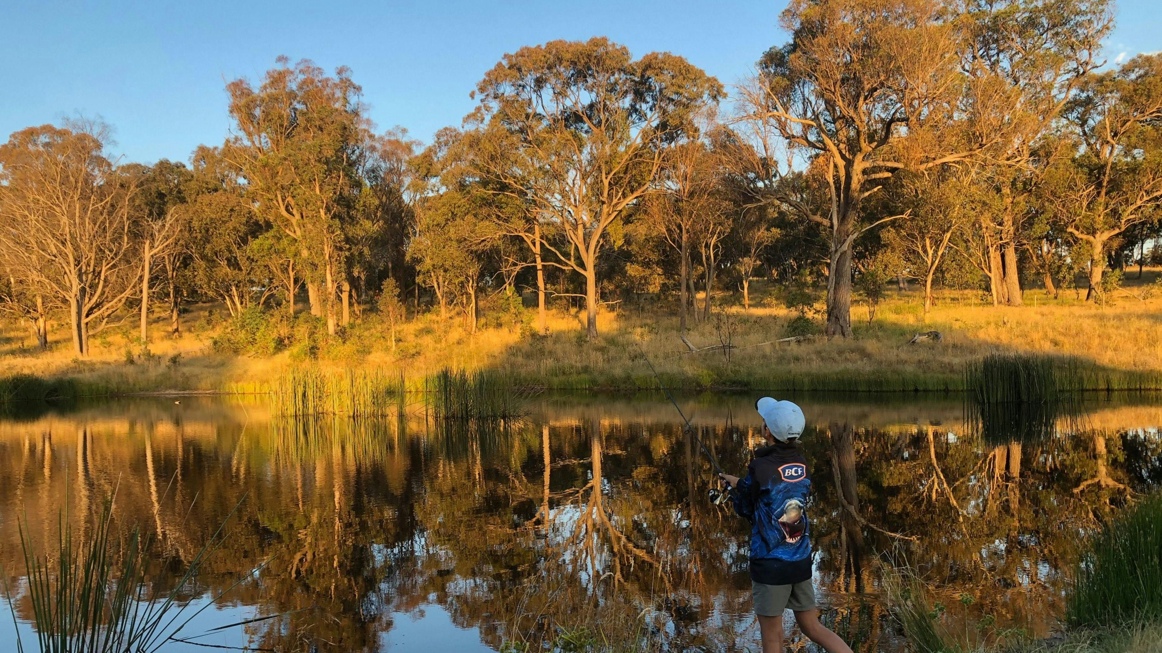 Bimbivale 房车和露营地