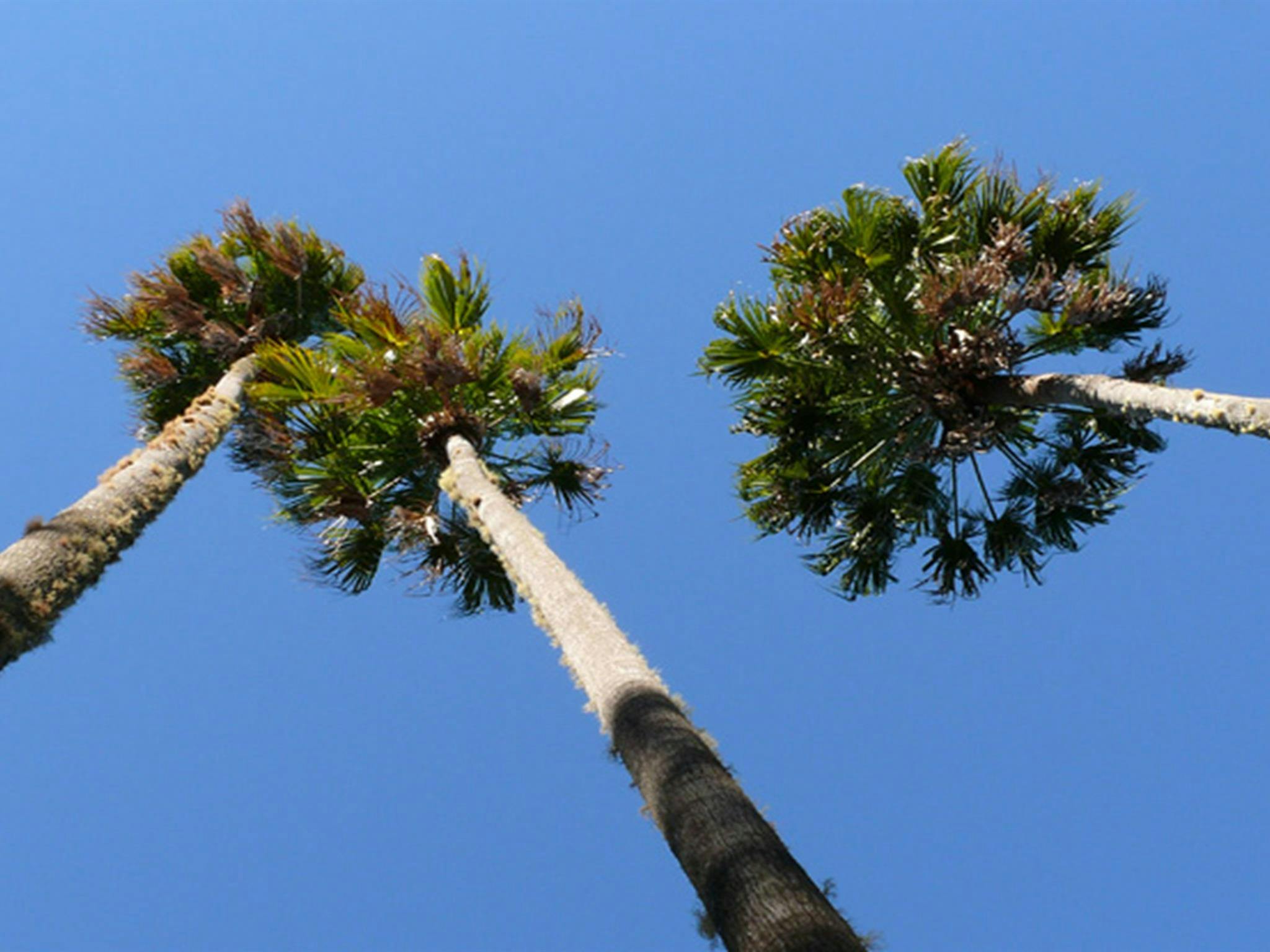 宾达里国家公园。照片：海伦·克拉克/新南威尔士州政府