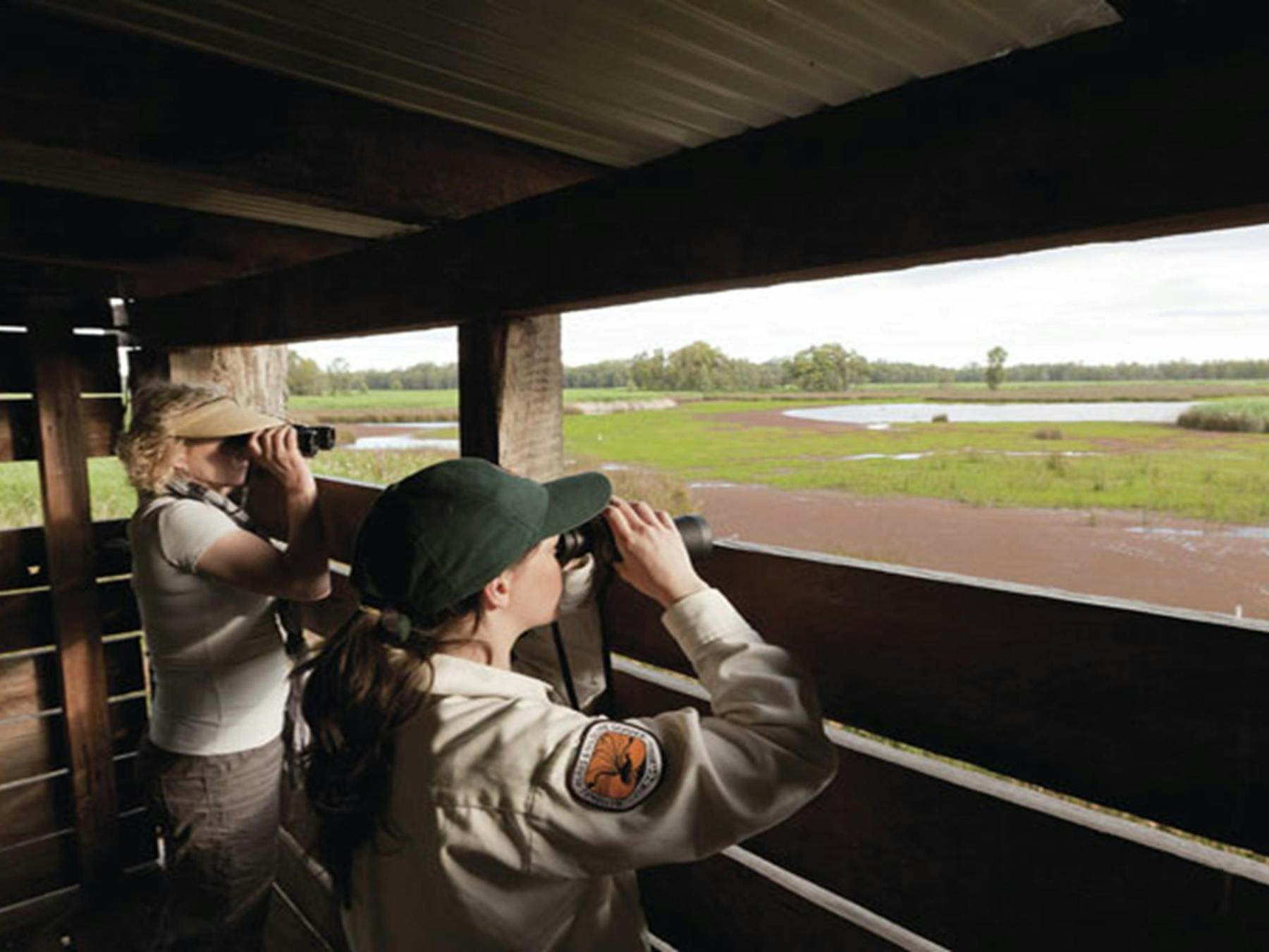 Birdwatching from Reedbeds bird hide. Photo: David Finnegan © DPIE