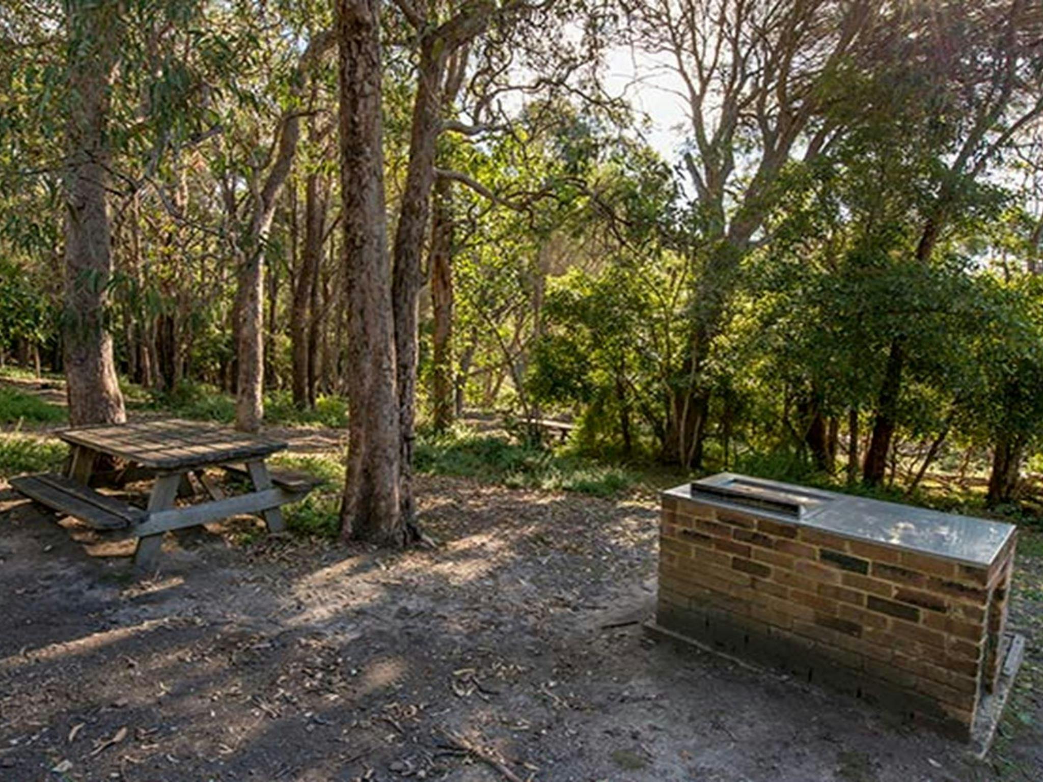 Bittangabee Bay, Beowa National Park. Photo: John Spencer/OEH