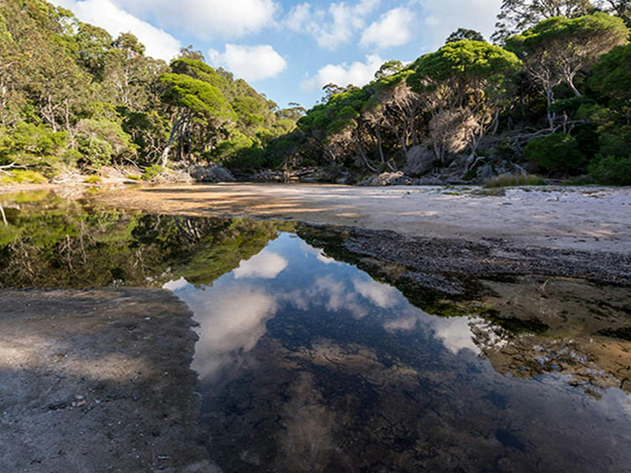 Bittangabee Bay, Beowa Nationalpark. Foto: John Spencer/OEH