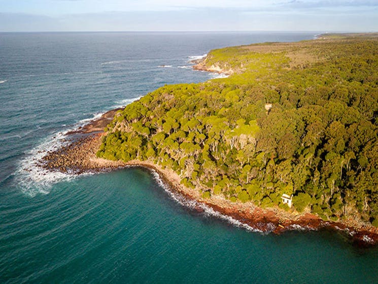 Aerial view of the stretch of coastline from Bittangabee Bay to Green Cape Lighthouse. Photo: John