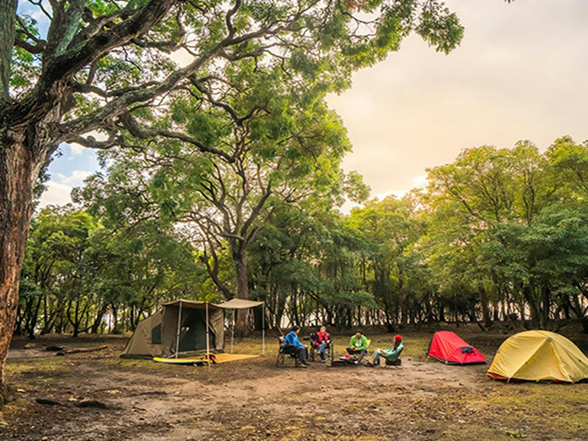 Campers at Bittangabee campground, Beowa National Park. Photo: John Spencer/OEH