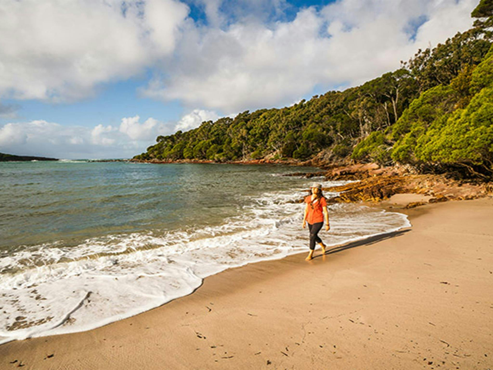Walker on the shore of Bittangabee Bay near Bittangabee campground, Beowa National Park. Photo: John