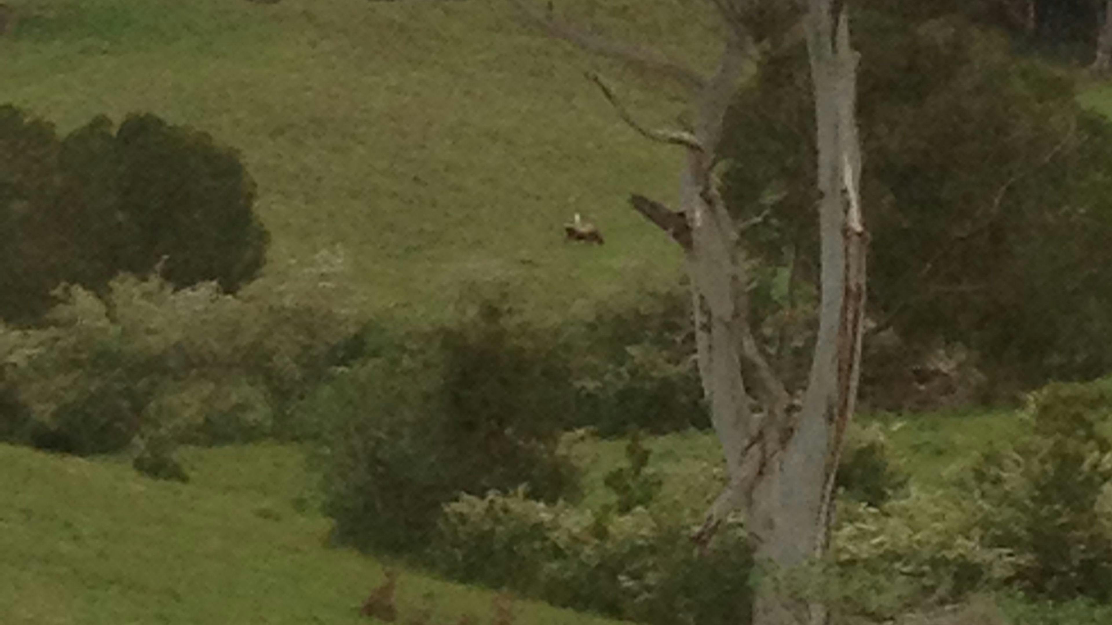 고요한 정원 캠핑