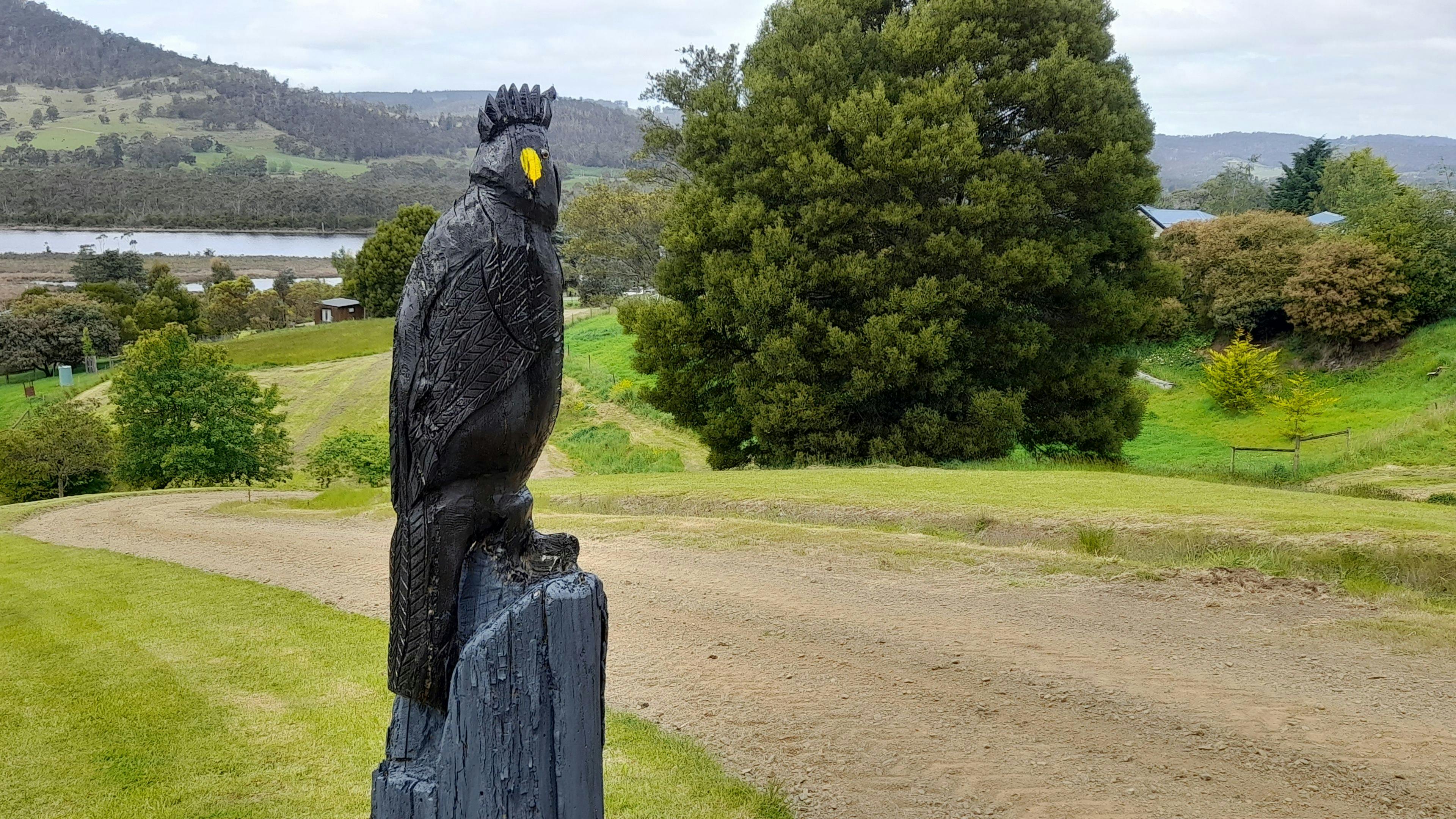 Black Cockatoos' Rest