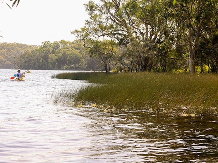 Black Oaks picnic area, Myall Lakes National Park. Photo: John Spencer/NSW Government