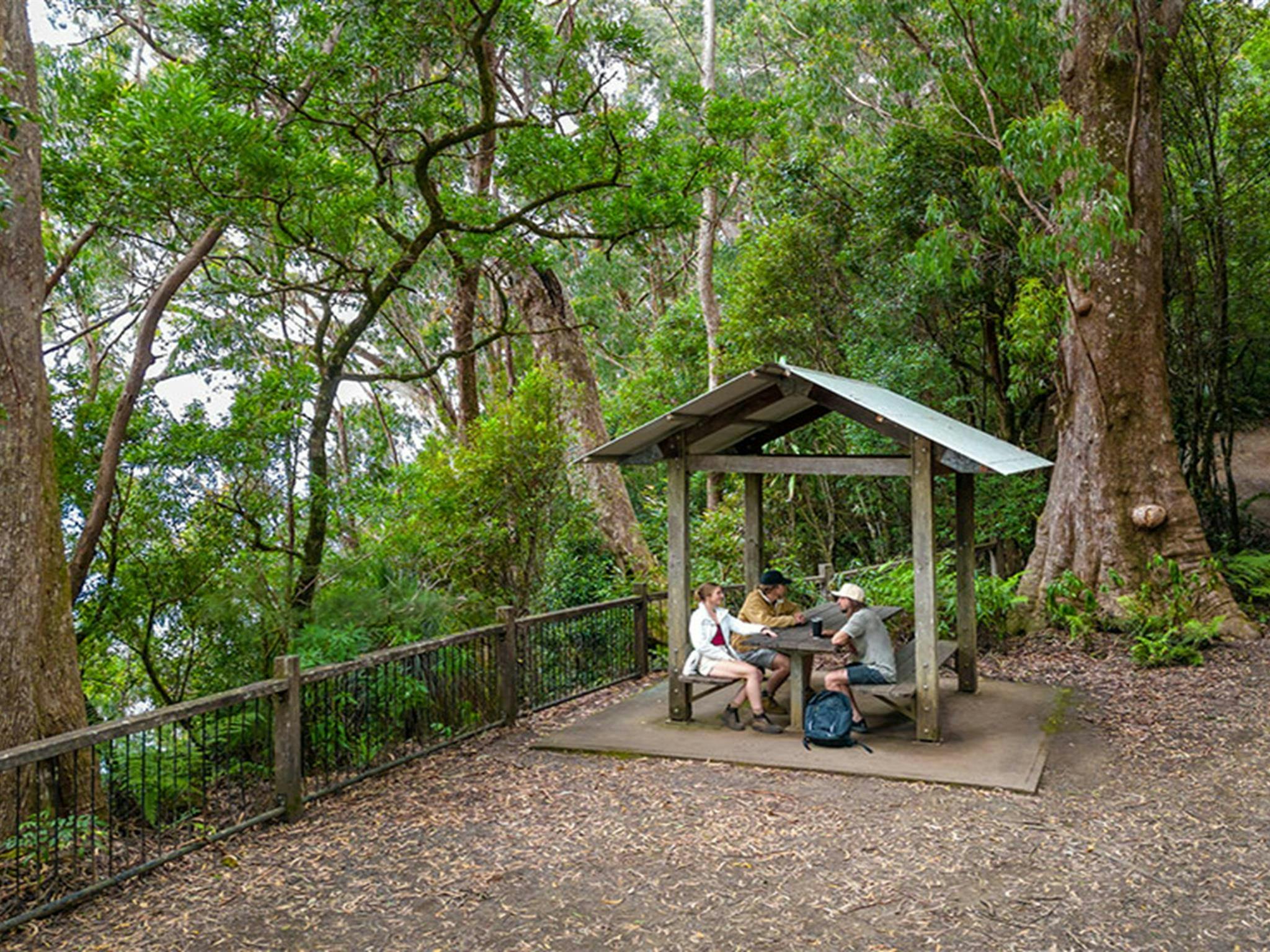 3 visitors sitting at a sheltered picnic table surrounded by large trees and forest at Blackbutt