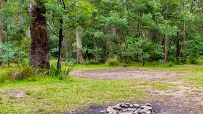 Blue Gum Flat campground, Morton National Park. Photo: Michael van Ewijk/NSW Government