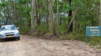 Blue Gum Flat campground, Morton National Park. Photo: Michael van Ewijk/NSW Government