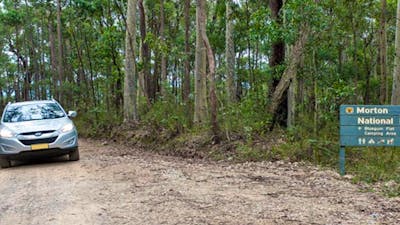 Blue Gum Flat campground, Morton National Park. Photo: Michael van Ewijk/NSW Government
