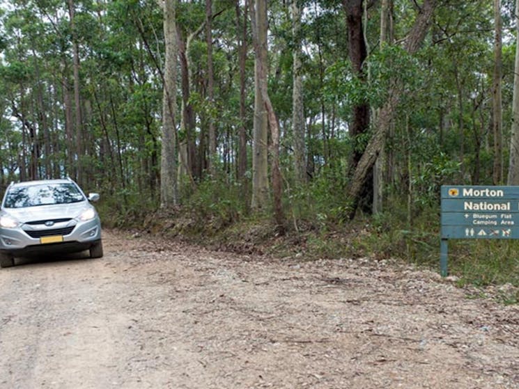 Blue Gum Flat campground, Morton National Park. Photo: Michael van Ewijk/NSW Government