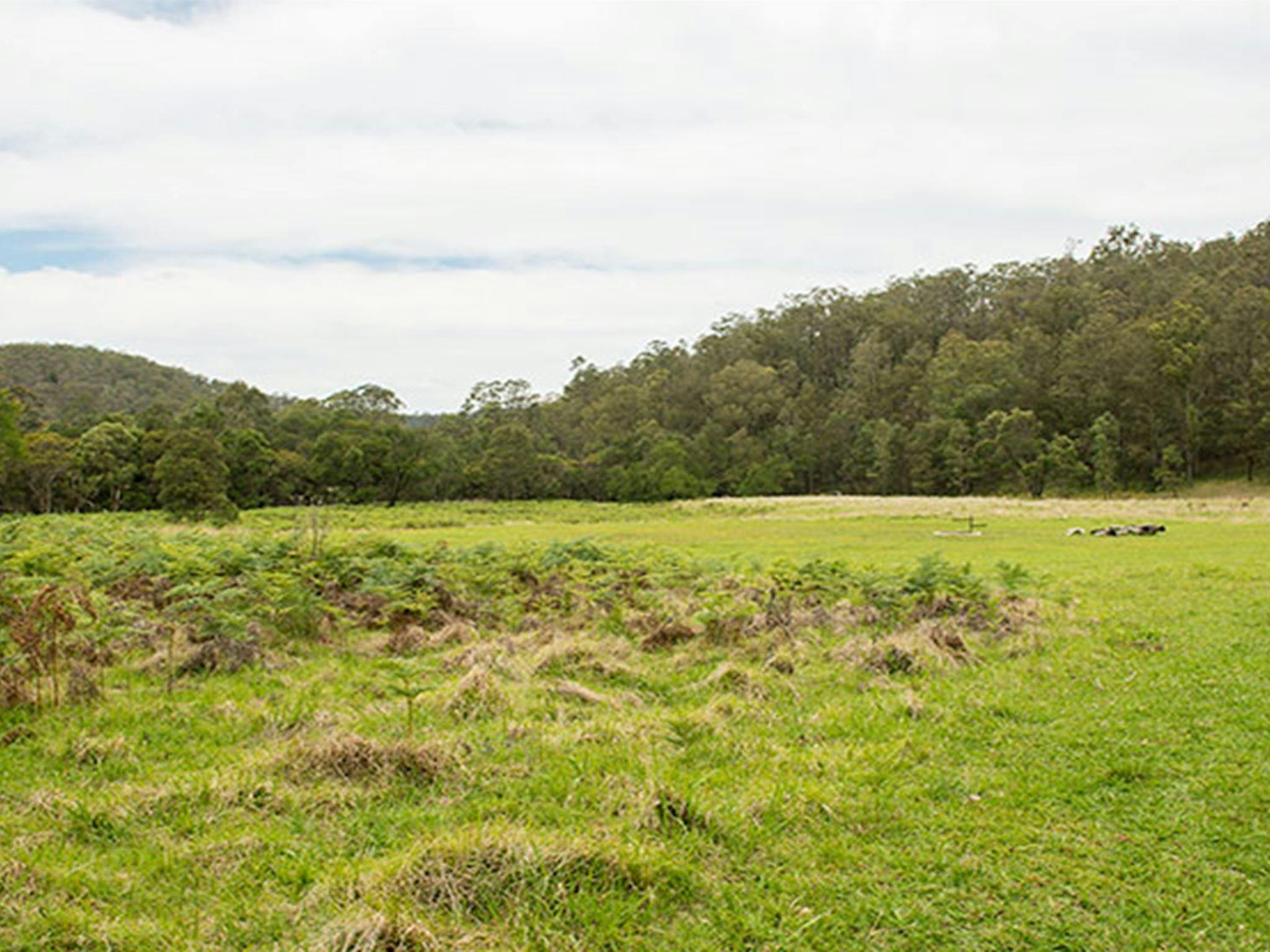 Blue Gums campground, Yengo National Park. Photo: John Spencer/DPIE