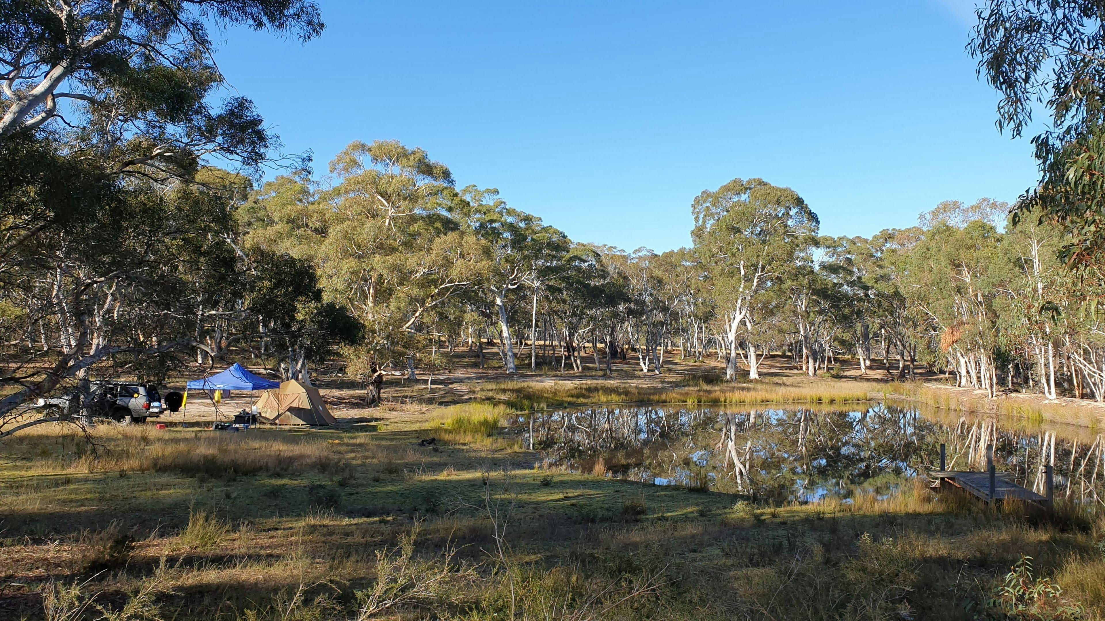 Blue Moon Camp