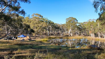 Blue Moon Camp