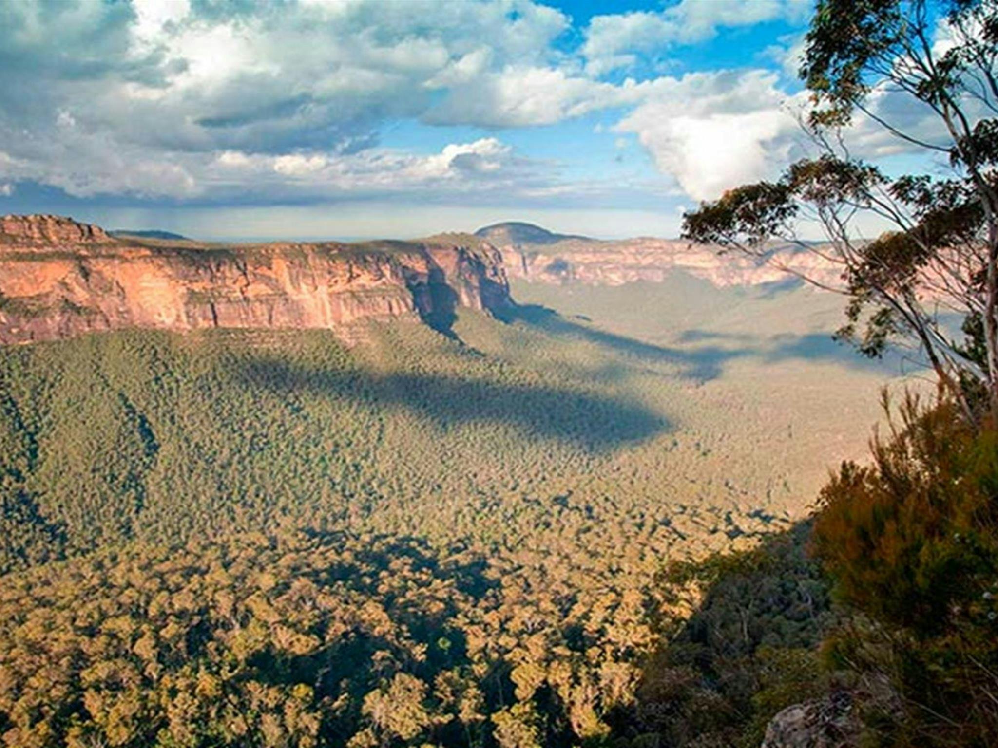 Perrys lookdown, Blue Mountains National Park. Photo: Nick Cubbin &copy; OEH