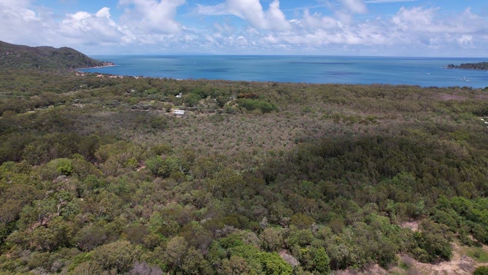 Blue Tiger Campsite Magnetic Island