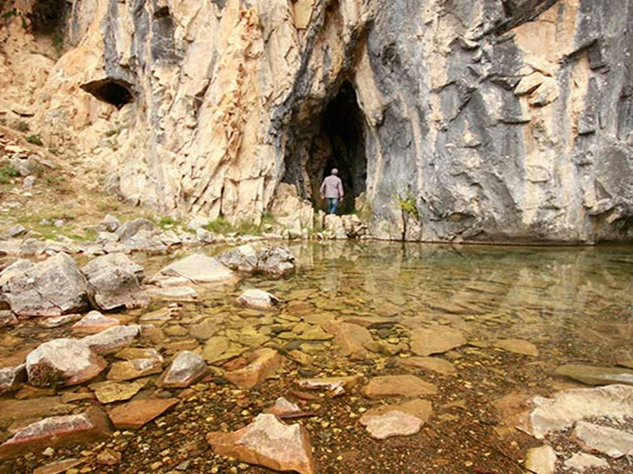 Blue Waterholes campground, Kosciuszko National Park. Photo: Elinor Sheargold/DPIE