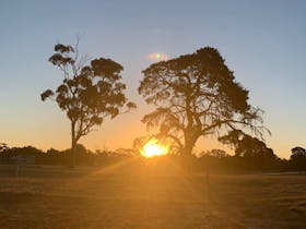 Bluegums Farm, Bordertown