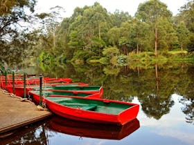 Red row boats moored at the boatshed, Lane Cove National Park. Photo: Kevin McGrath © DPIE
