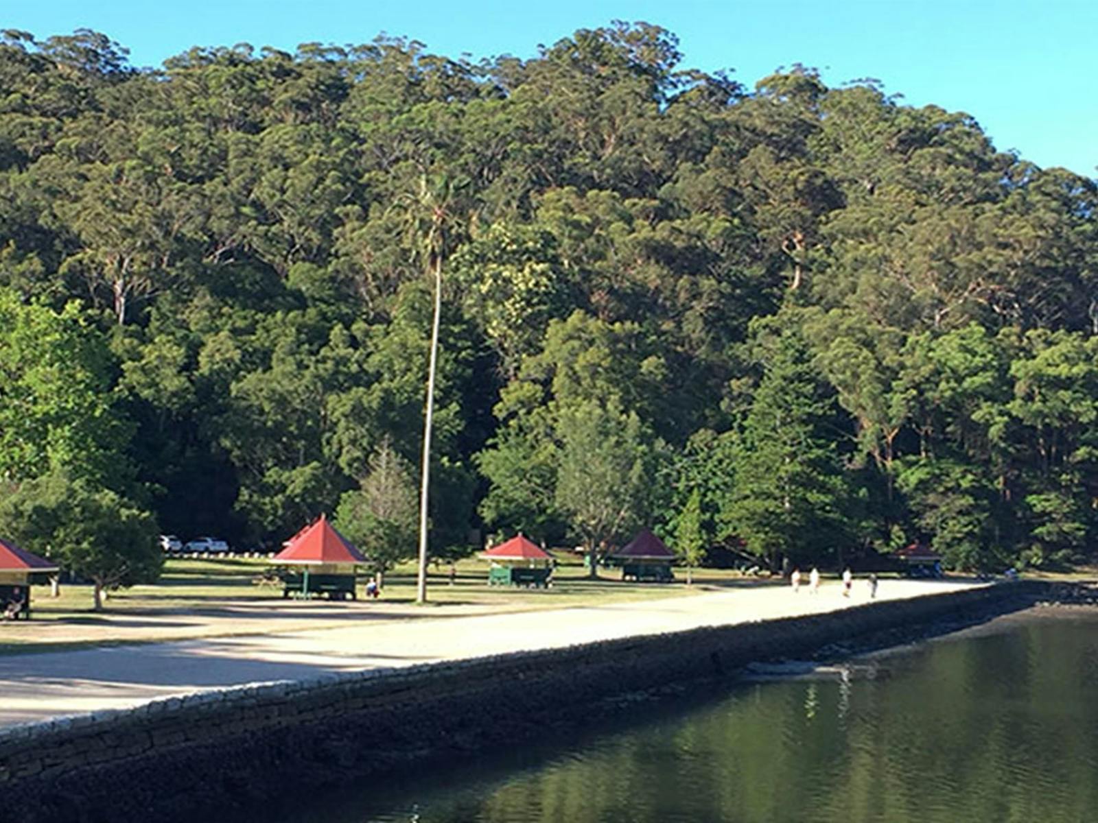 ボビンヘッドピクニックエリアは広々としたスペースがあり、クーリンガイチェイスで人気の釣りスポットです。