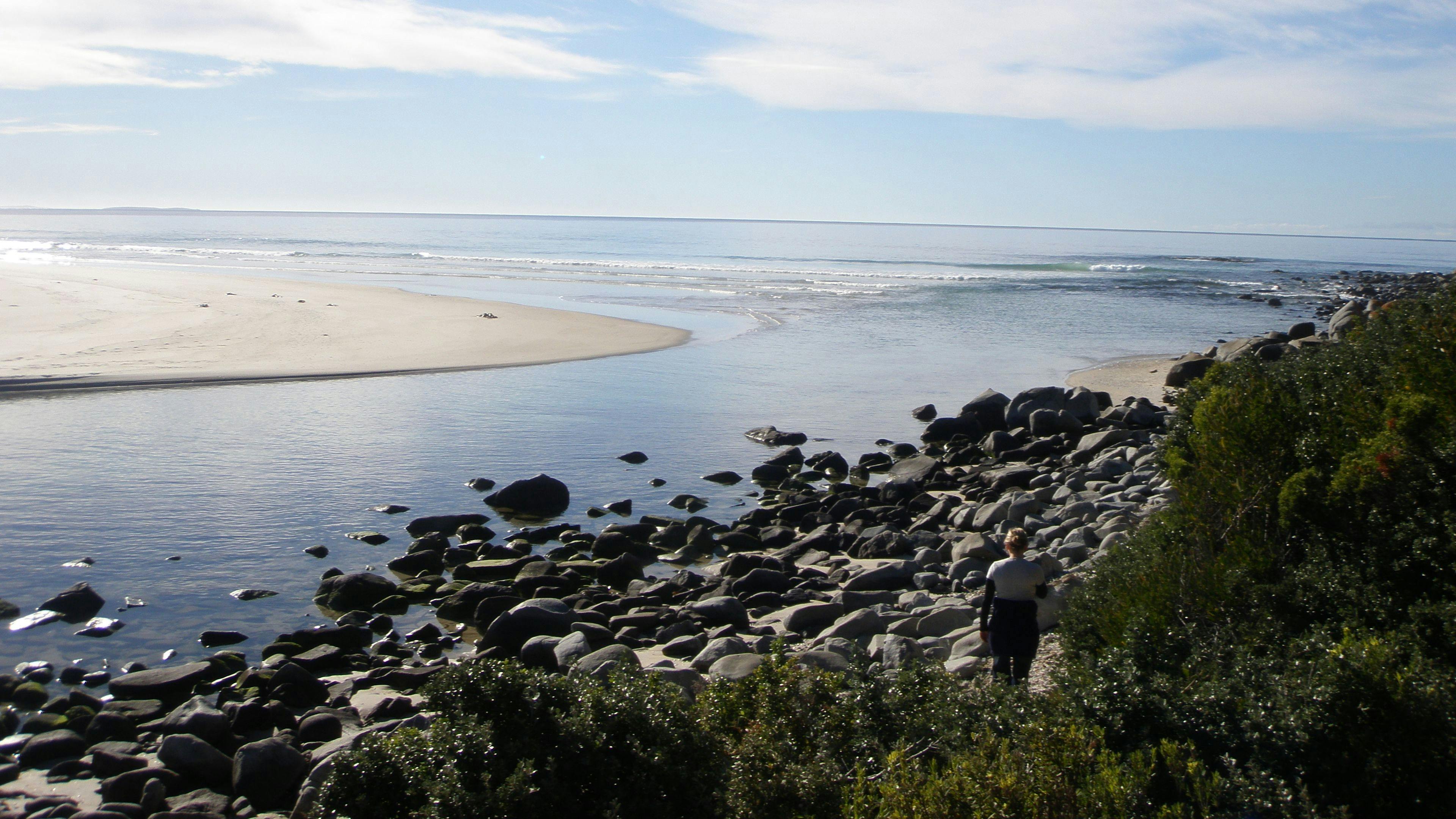 Bohemian Beach Retreat Tiny House