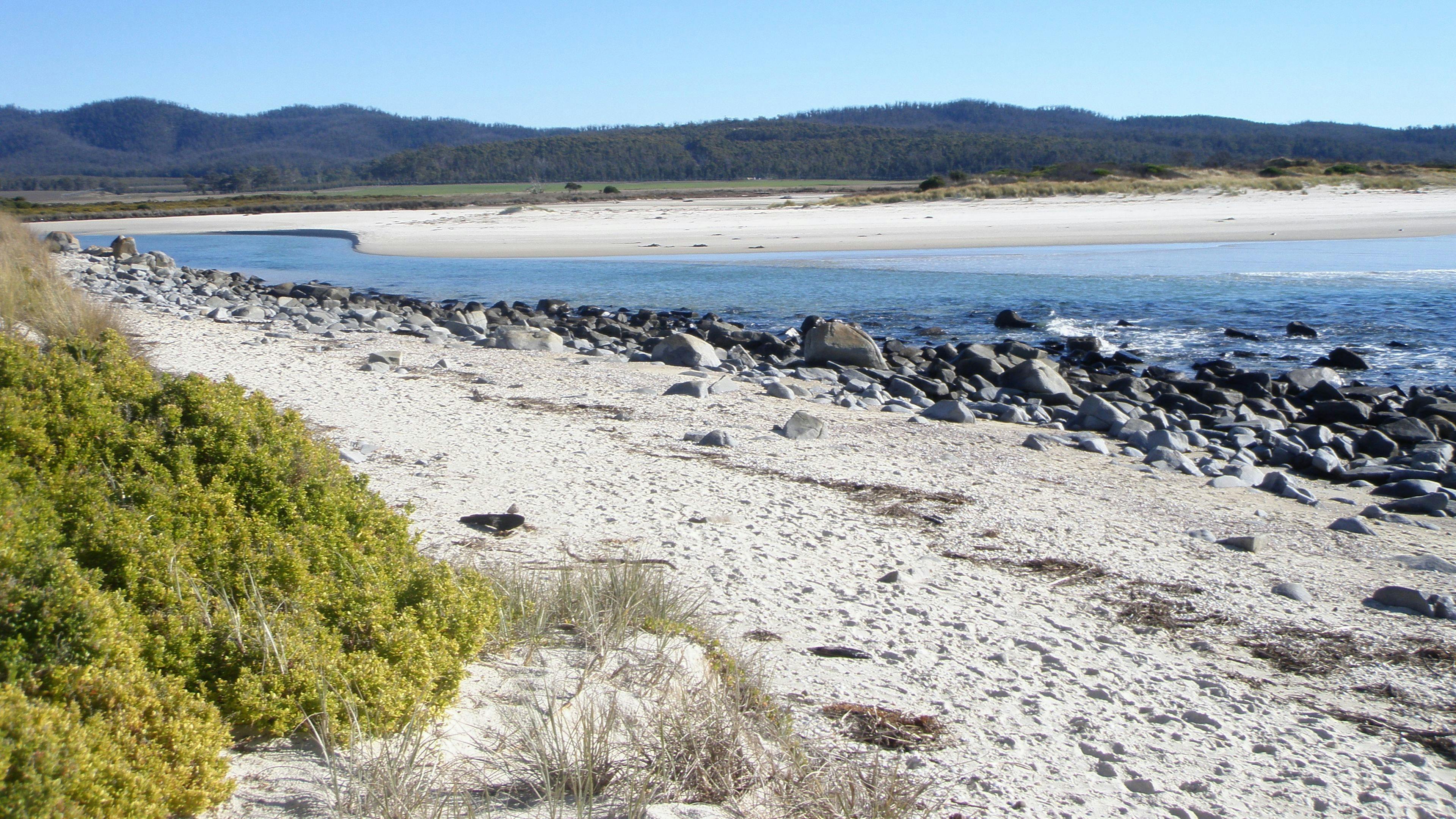 Bohemian Beach Retreat Tiny House