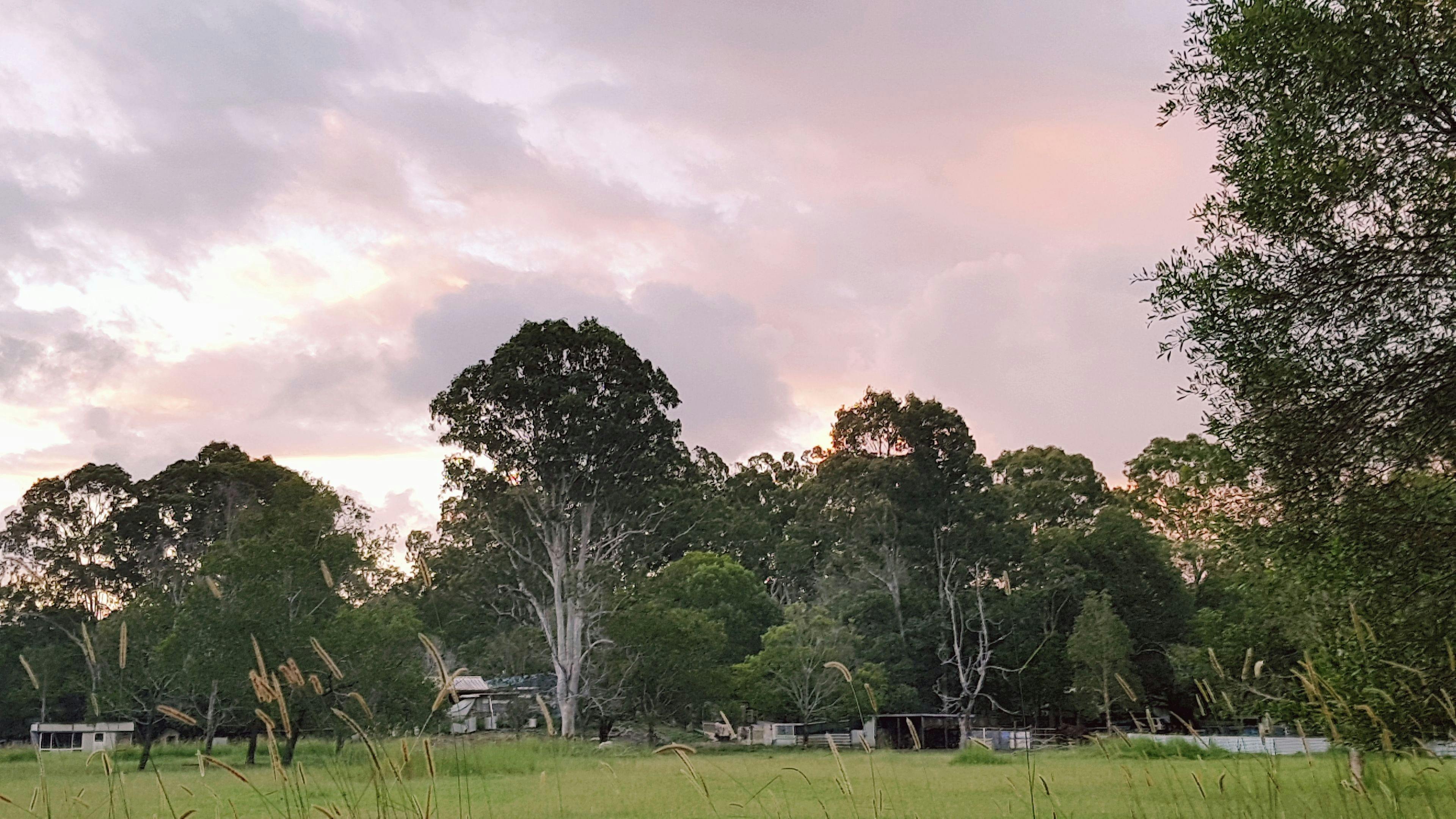 Boho Wilderness Noosa Farm Lake