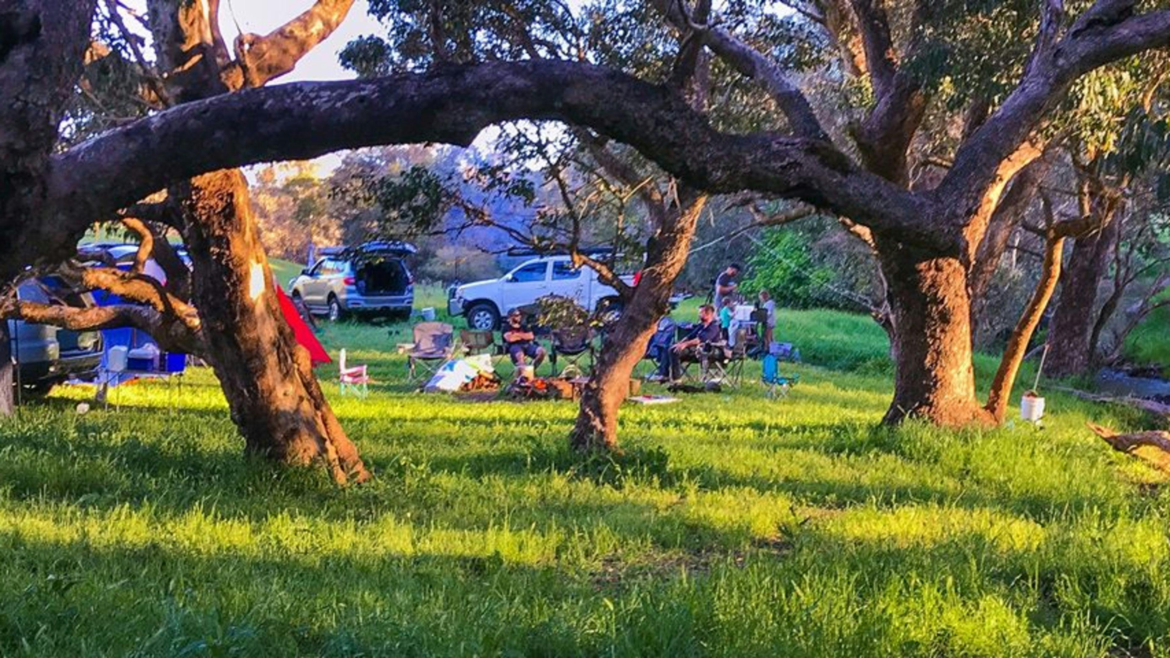 Bolinda Vale Farm