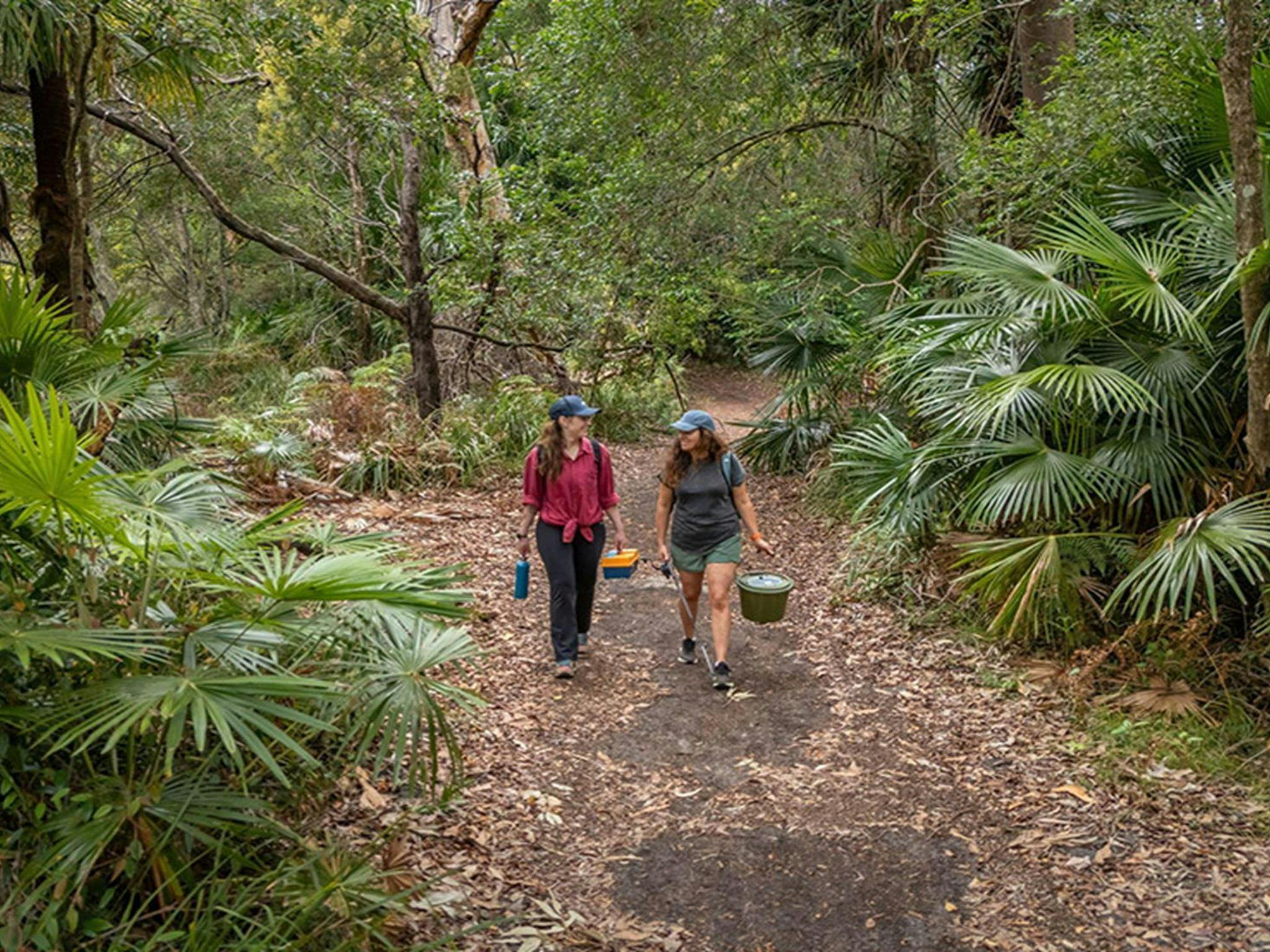 Royal National Park의 푸른 나무로 둘러싸인 The Coast 트랙을 따라 걷는 두 사람. 출처: John