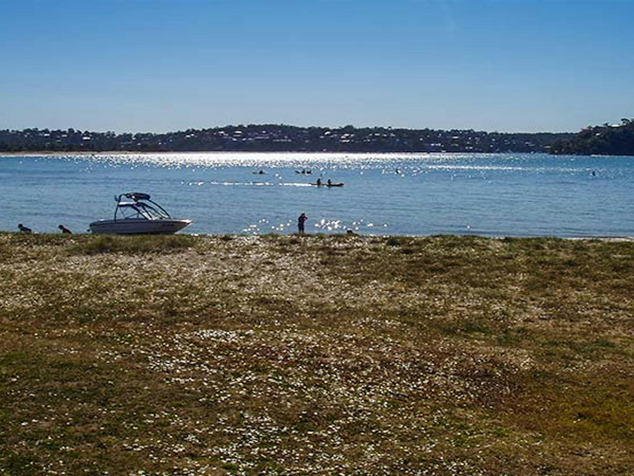 A family playing ball games on the grass at Bonnie Vale picnic area in Royal National Park. Photo:
