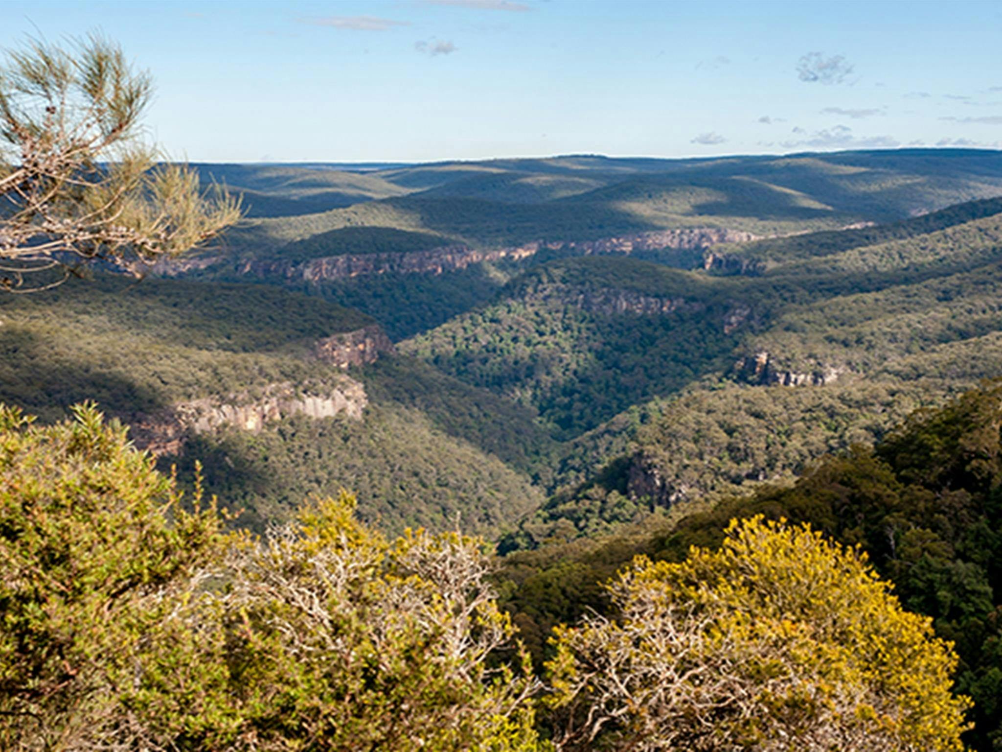 Aussichtspunkte Bonnie View und Beauchamps Cliffs