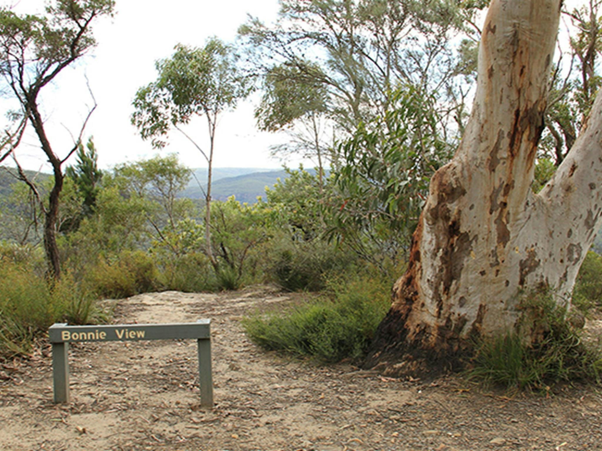 Hinweisschild zum Aussichtspunkt Bonnie View, inmitten einheimischer Buschlandschaft im Morton-Nationalpark. Foto: John Yurasek