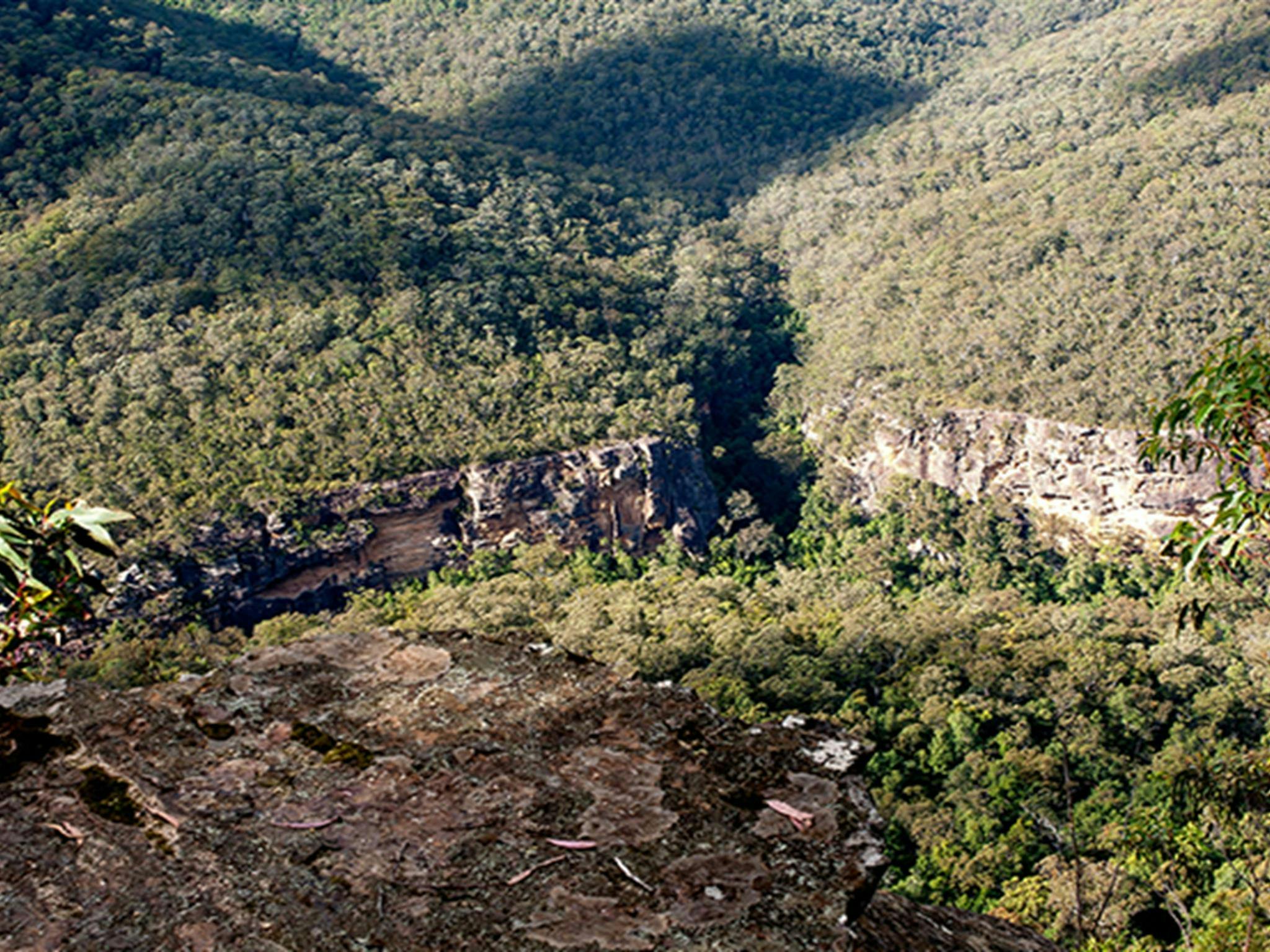 Blick über den Felsvorsprung am Aussichtspunkt Beauchamps Cliffs auf zerklüftete Klippen und unberührtes Buschland in Morton