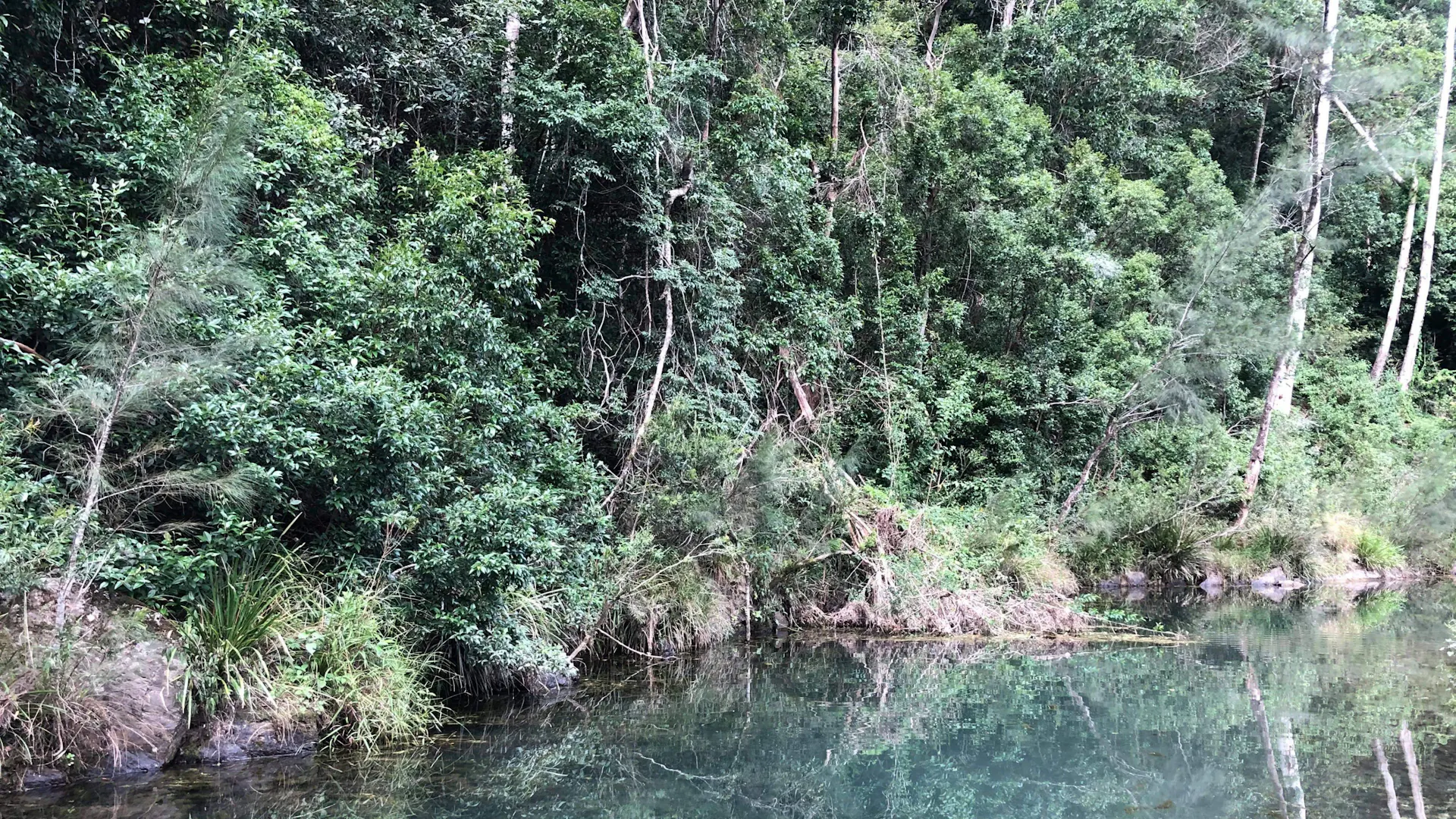 Booloumba Creek Eco Camping