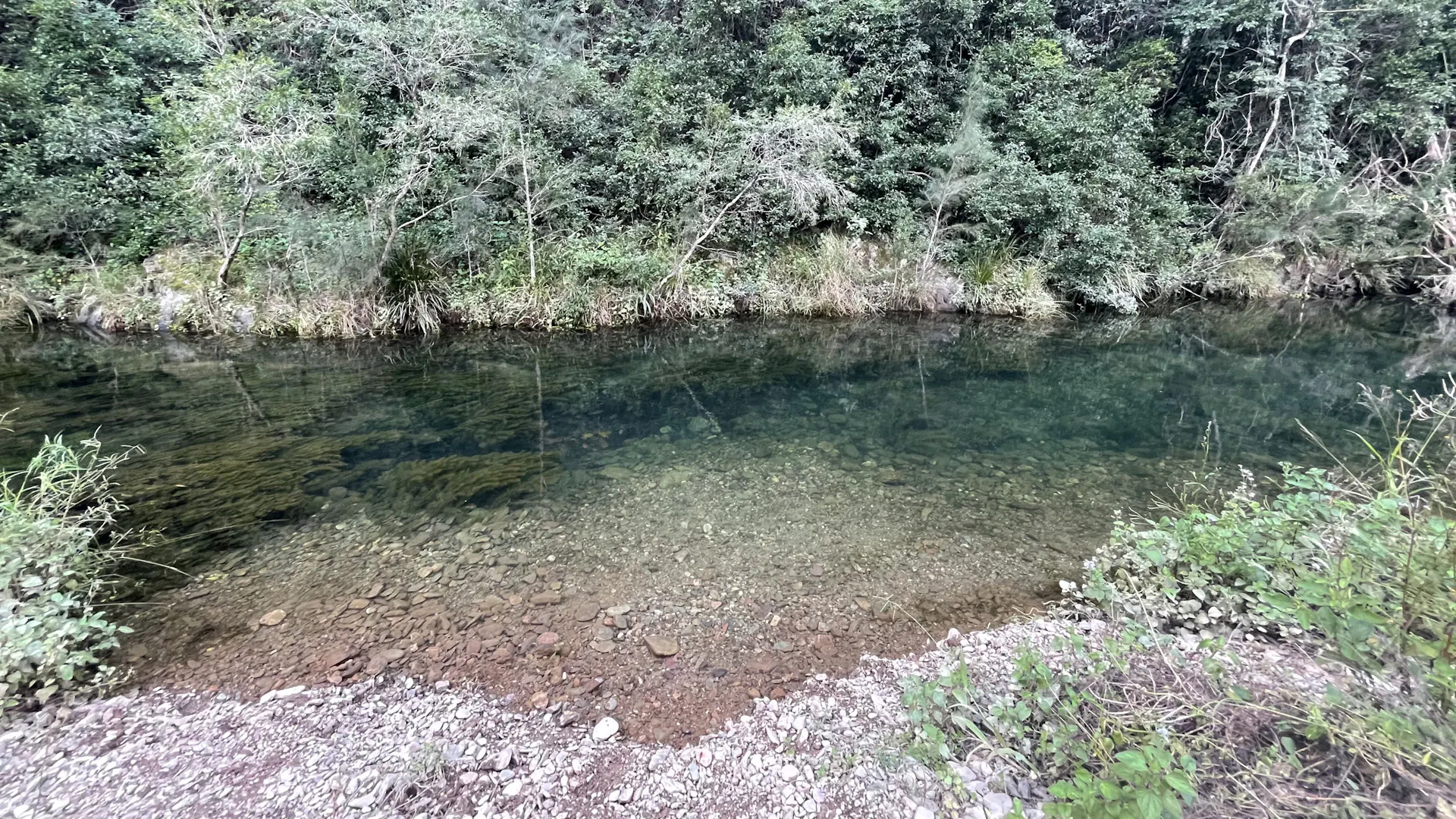 Booloumba Creek Eco Camping