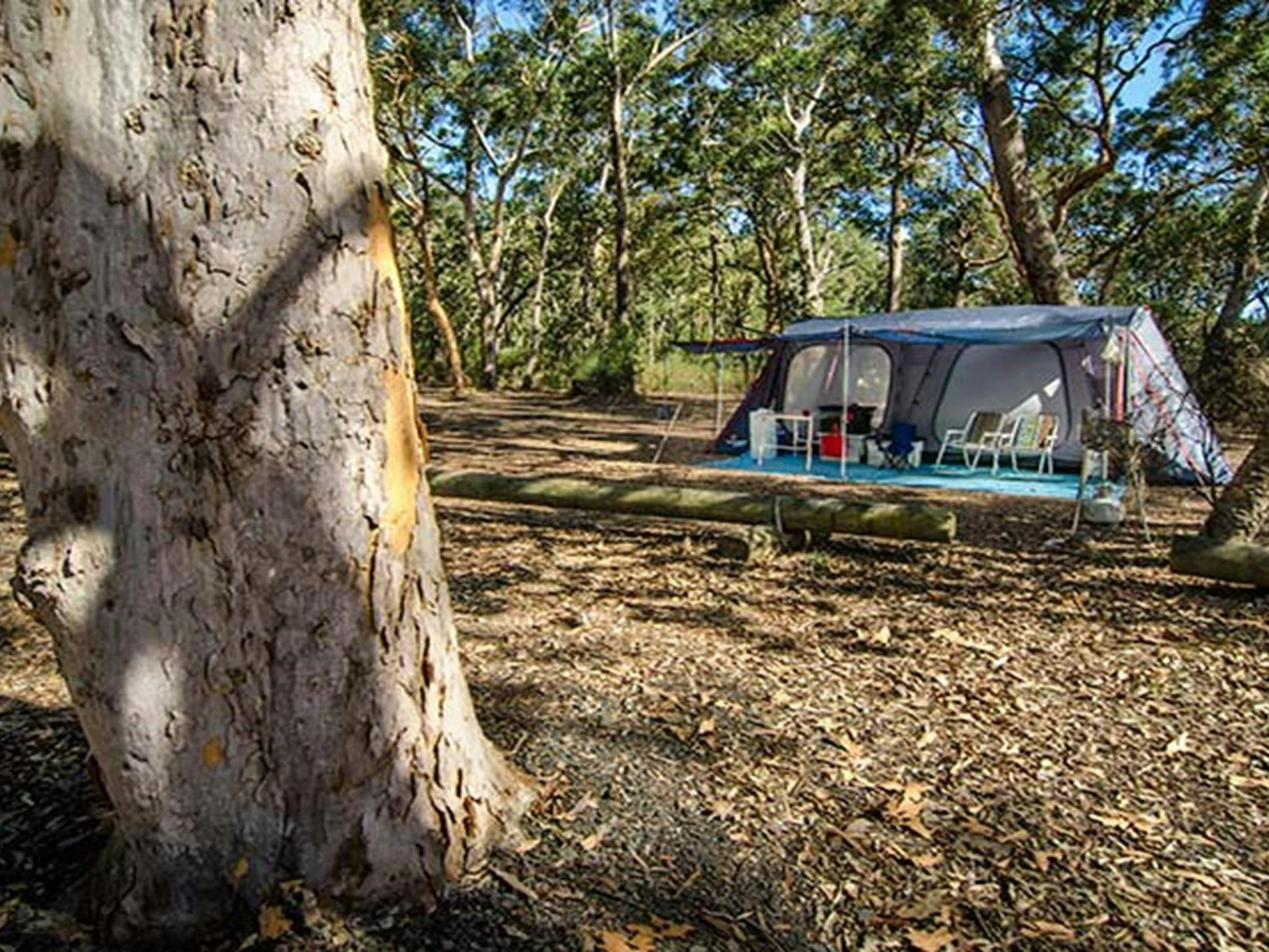 Don't mind a short walk to tent