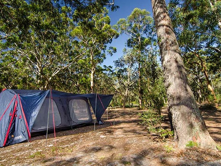 Boomeri campground, Myall Lakes National Park. Photo: John Spencer/NSW Government