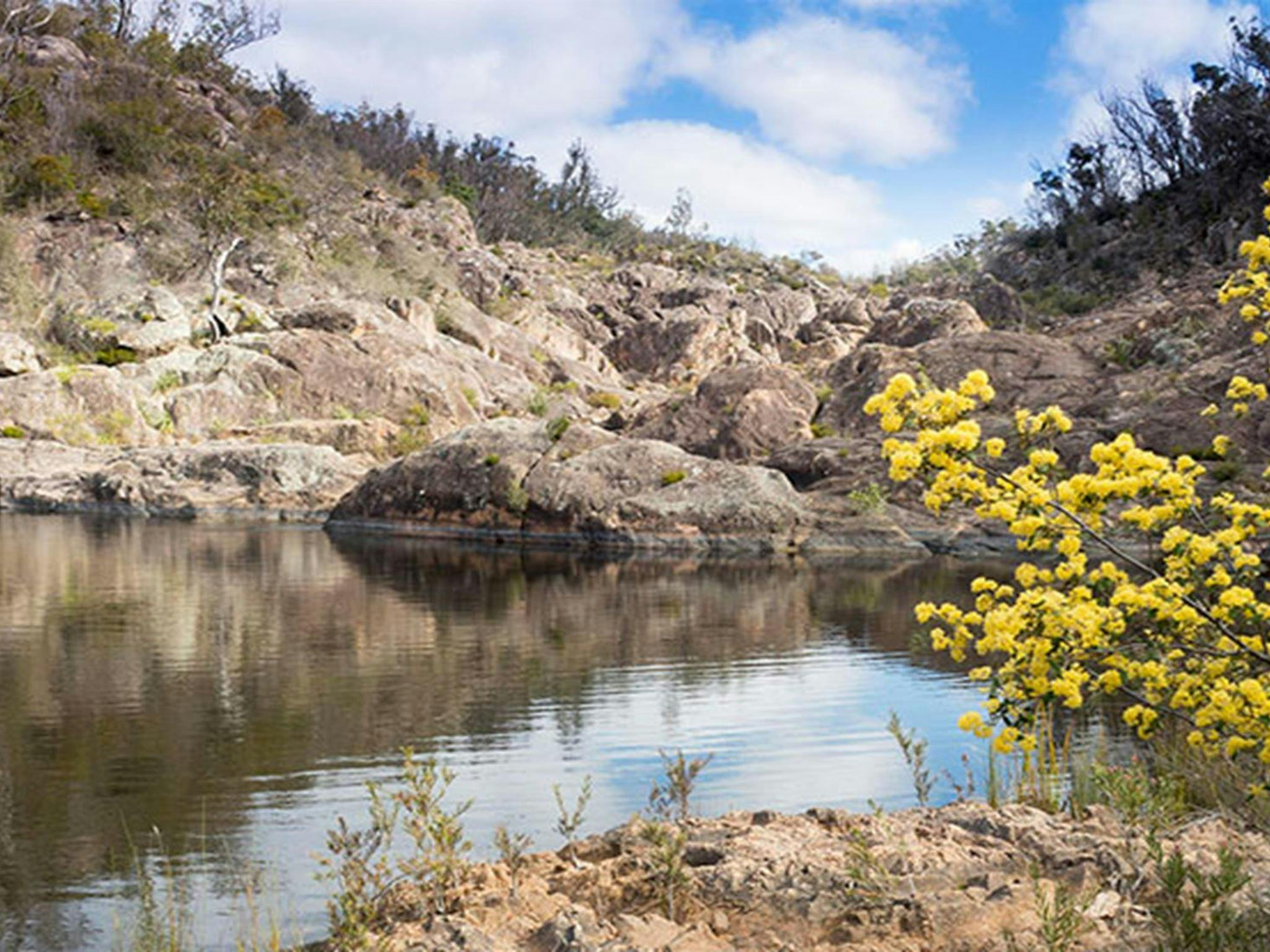 Rock pools near Boonoo Boonoo Falls walking track in Boonoo Boonoo Falls National Park. Photo: Leah