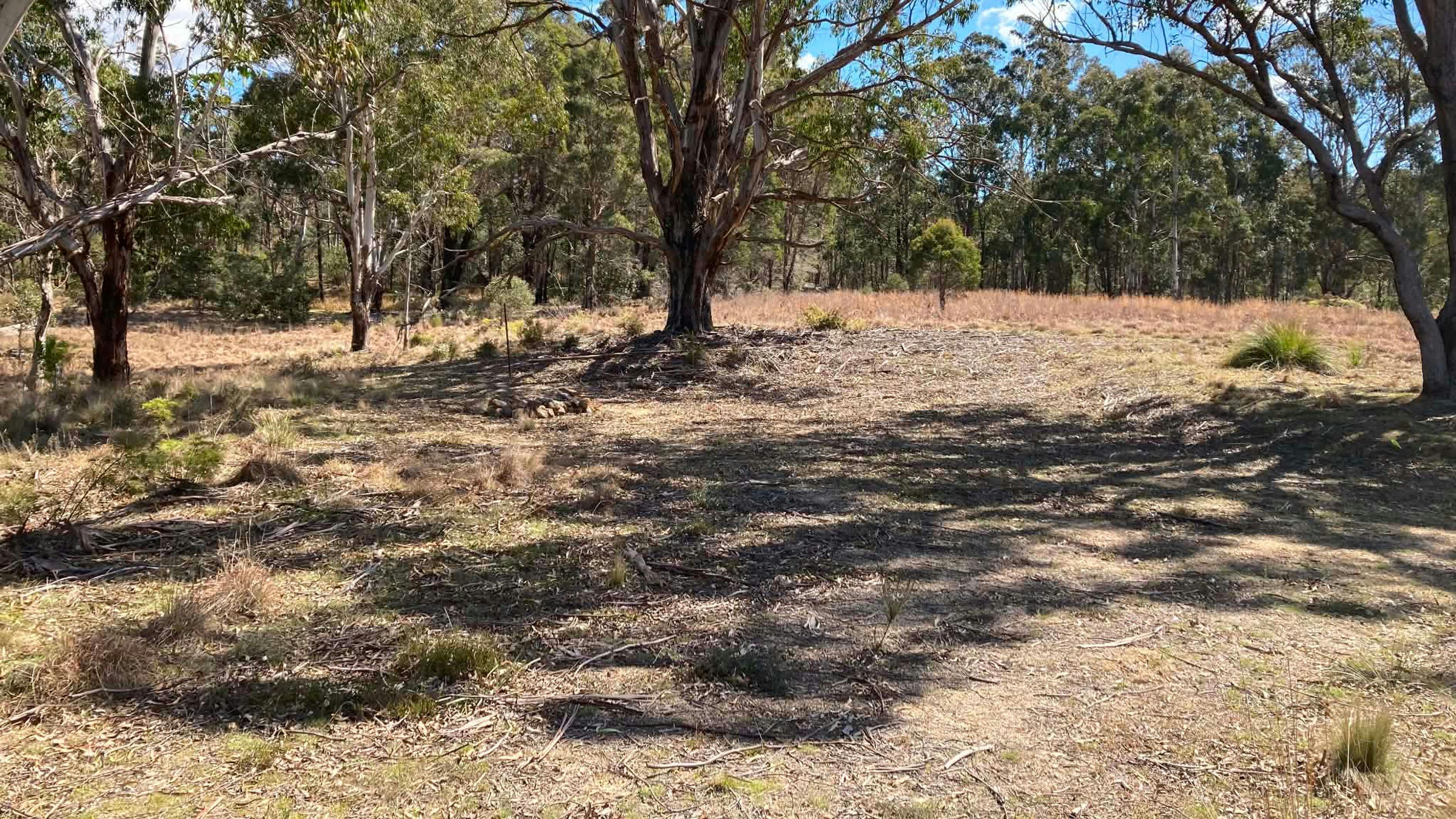 Boonoo Boonoo Island