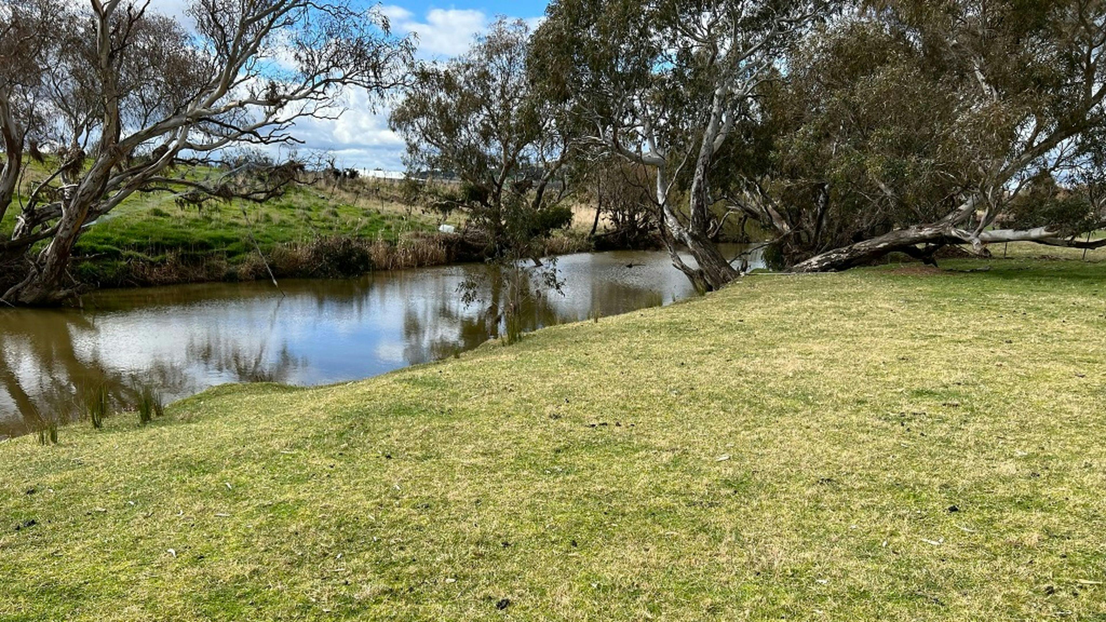 2 camp spots at this spot (Campers Riverside Retreat EAST & WEST), 2 other camp spots available near here in another paddock. 