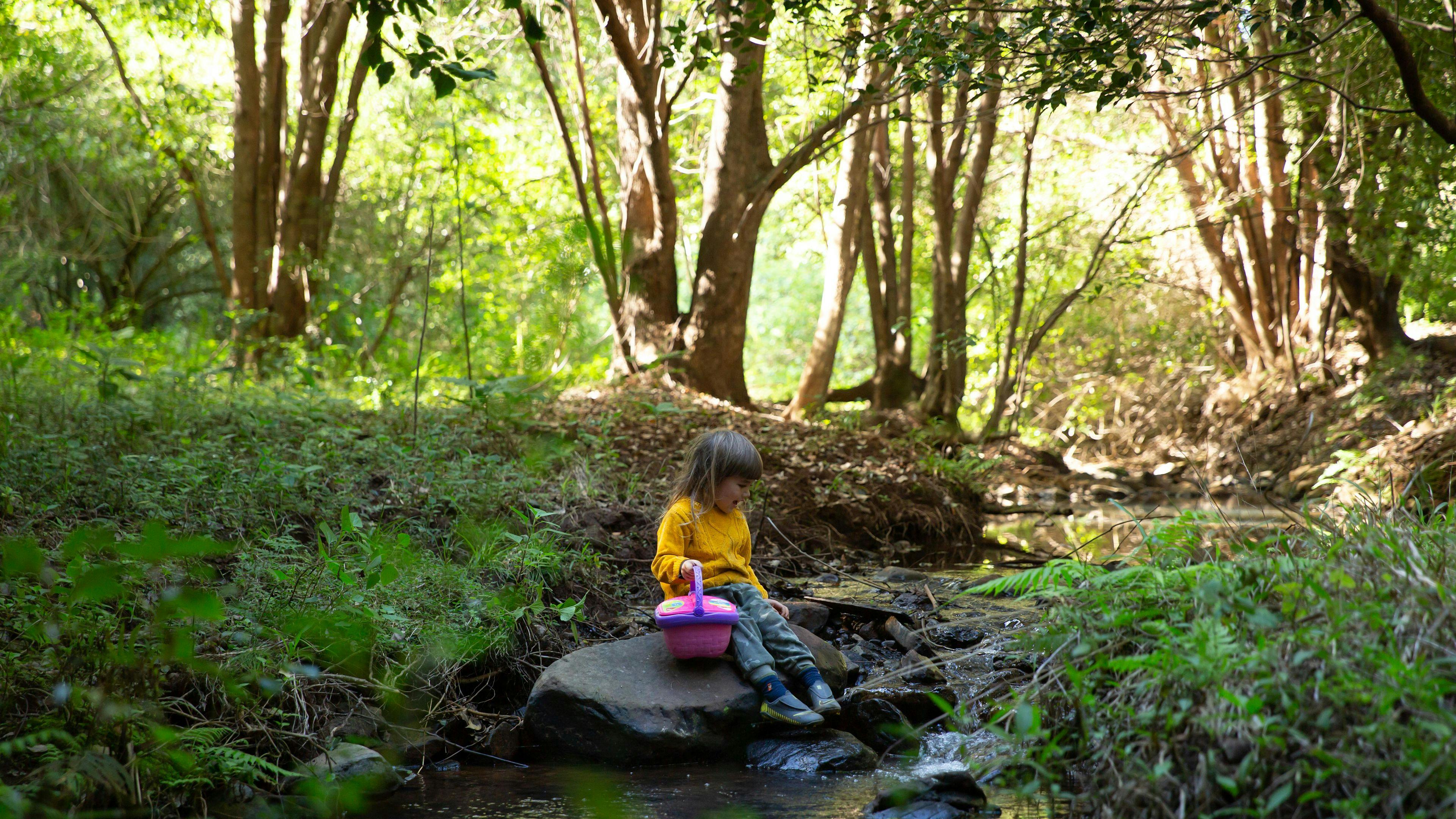 ブヨンファーム